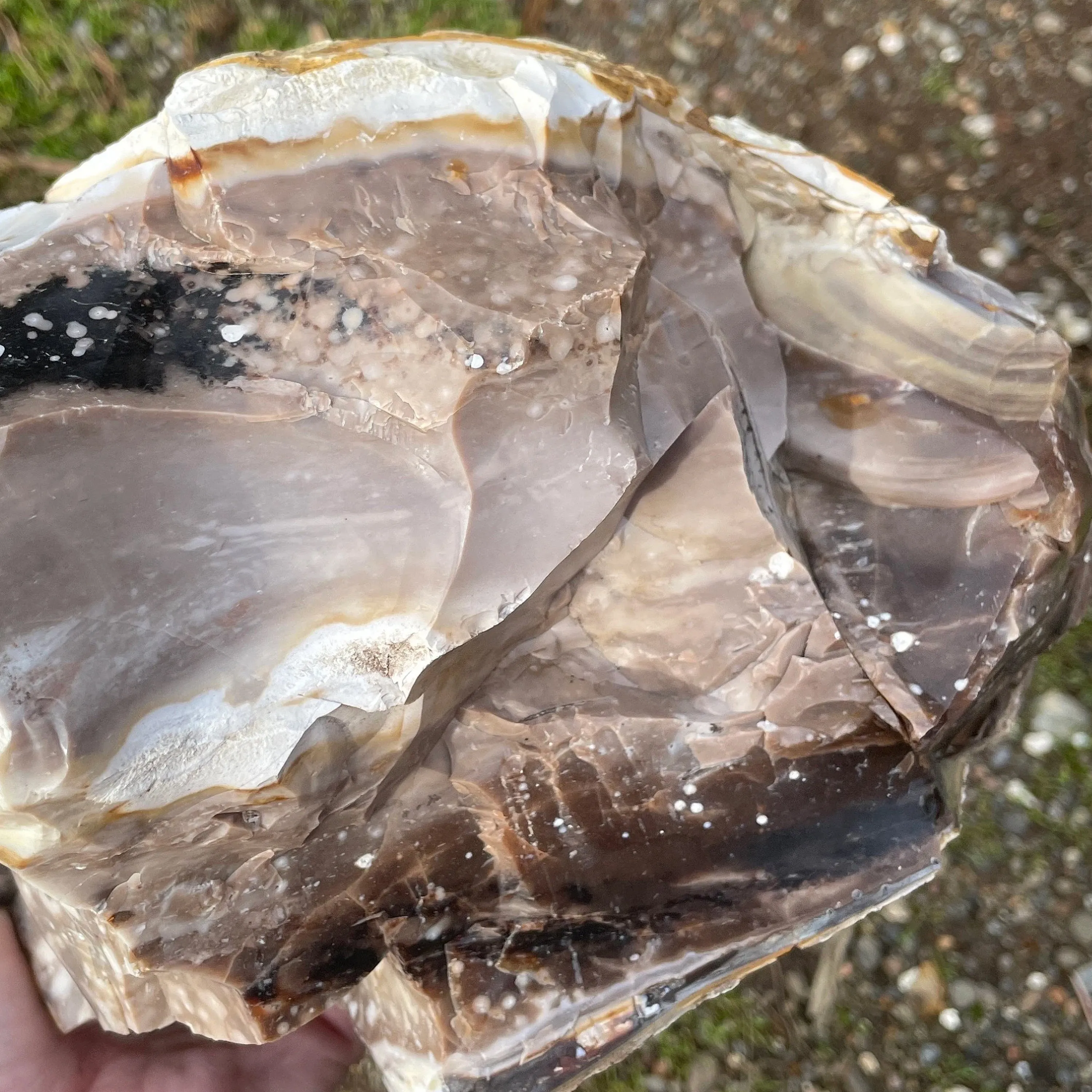 'Twilight Hills' Opalized Petrified Wood Necklace - Natural Designer Gemstone sold by Henryka product image thumbnail 2