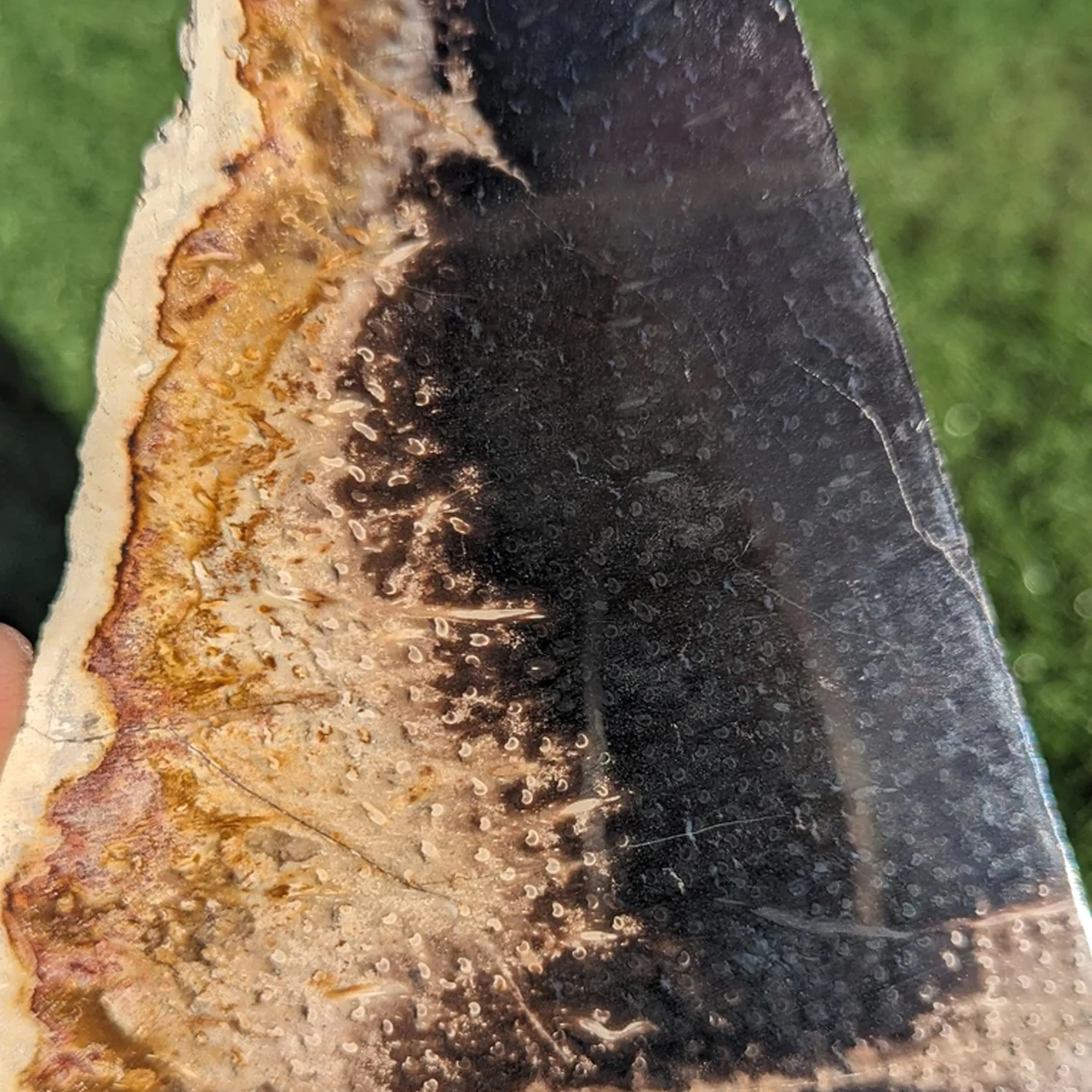 'Sand Storm' Petrified Palm Root Necklace - Natural Designer Gemstone sold by Henryka product image thumbnail 2