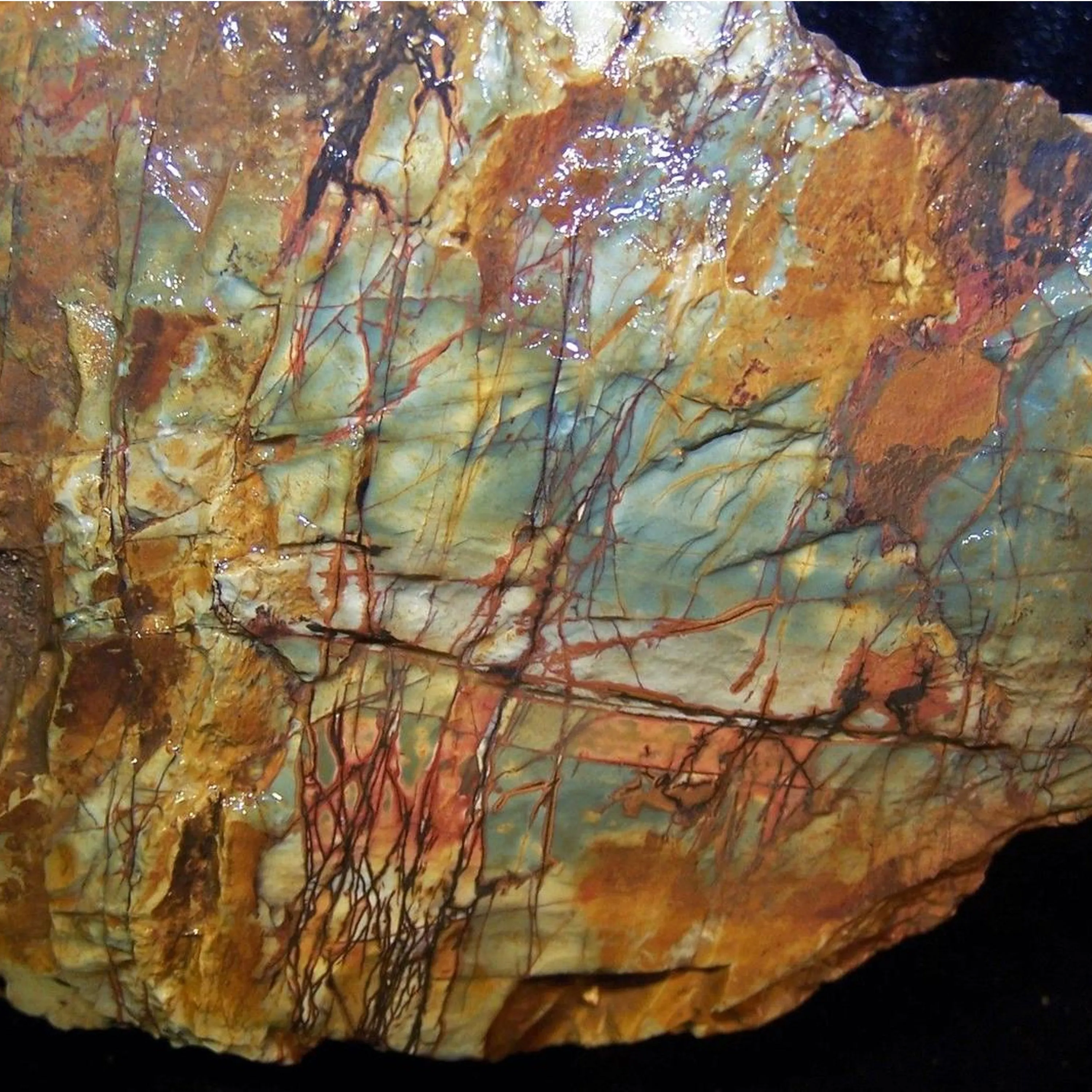 'Peaceful Night' Cherry Creek Jasper Necklace - Stunning Natural Designer Gemstone sold by Henryka product image thumbnail 2