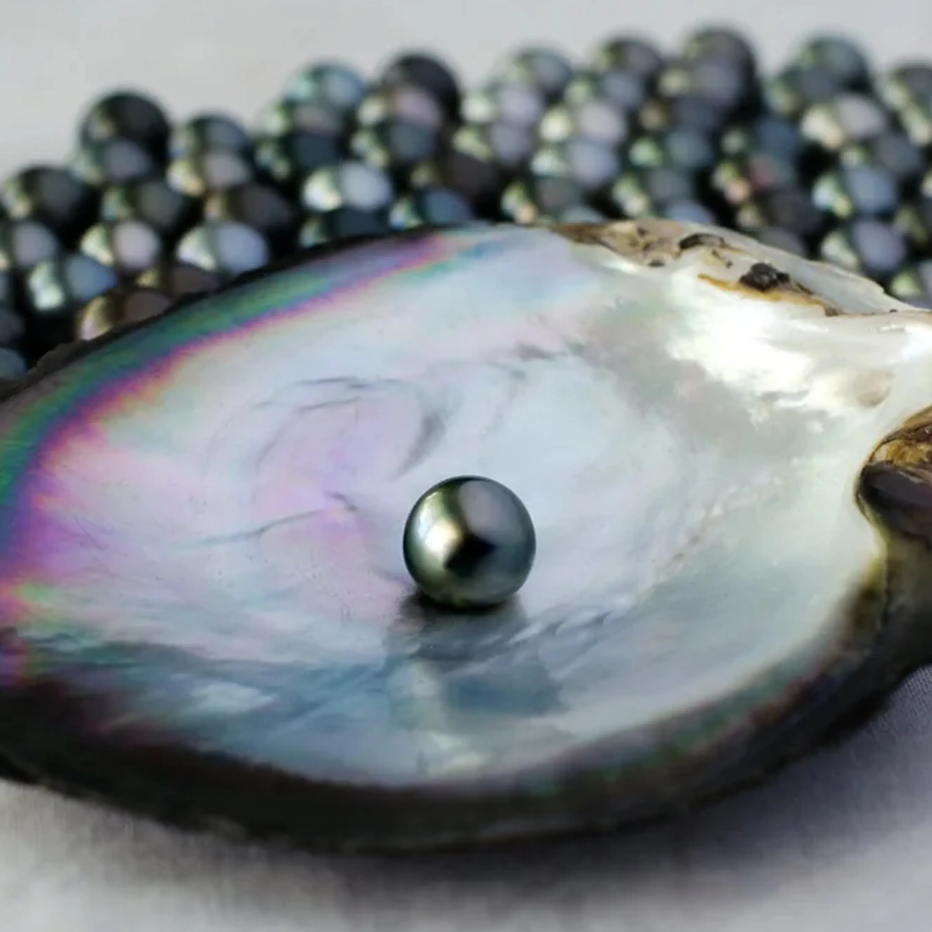 GRAND Tahitian Black Mother of Pearl Ring - Natural Designer Gemstone sold by Henryka product image thumbnail 2
