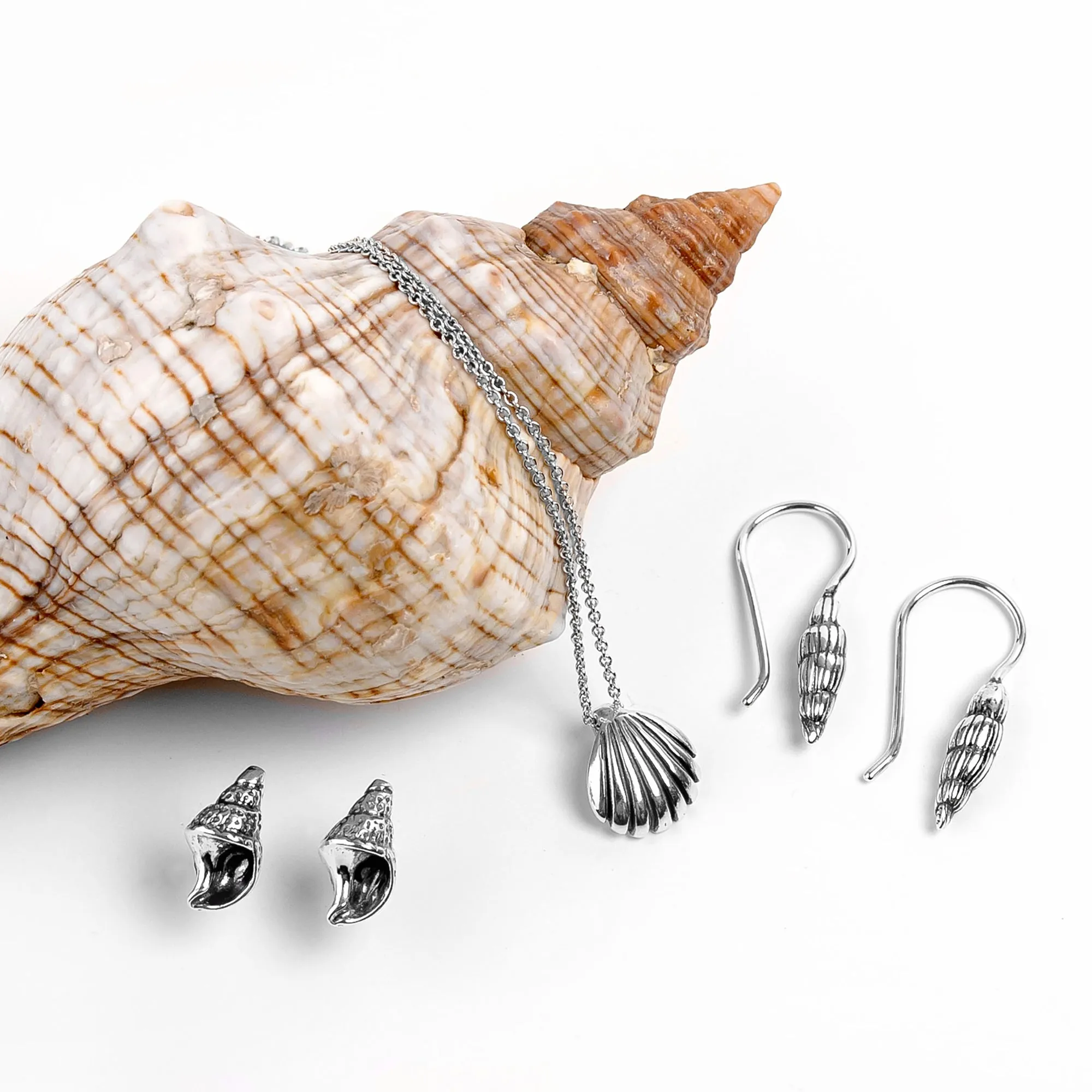 Sea Shell / Seashell Stud Earrings in Silver sold by Henryka product image thumbnail 5
