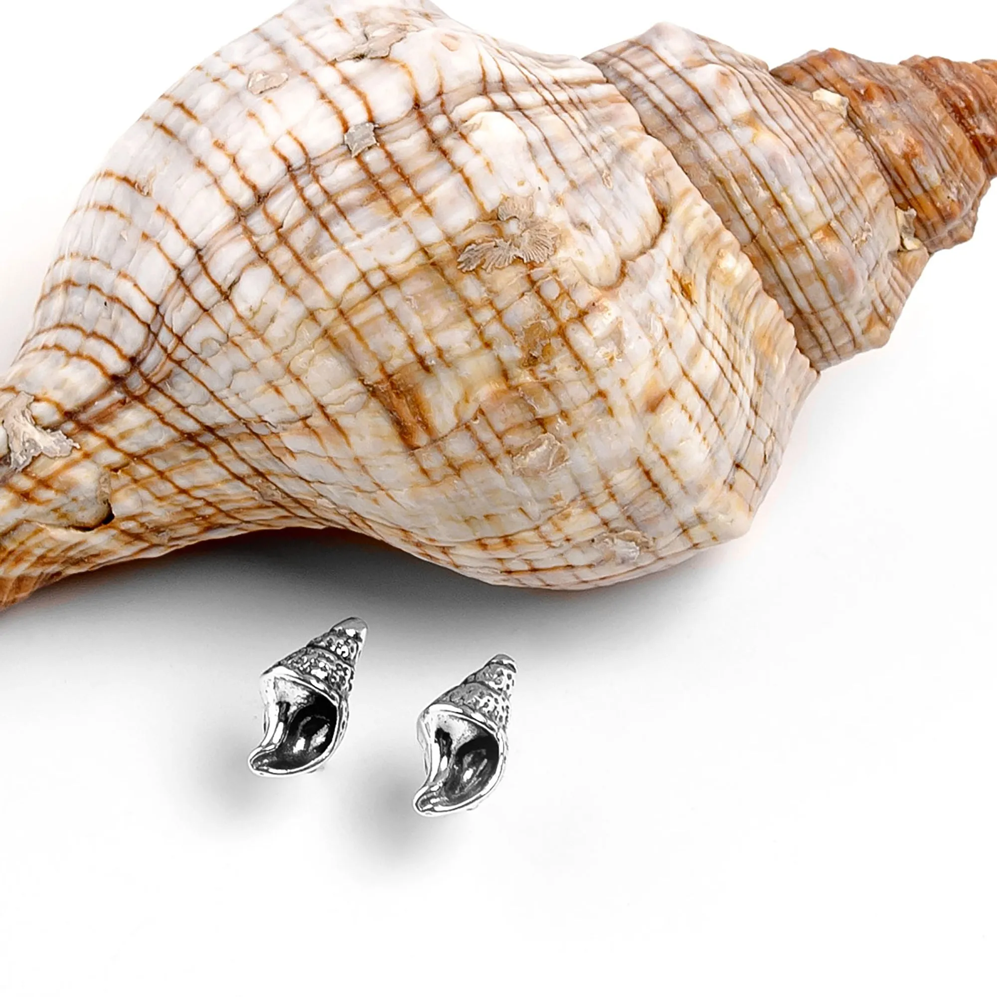 Sea Shell / Seashell Stud Earrings in Silver sold by Henryka product image thumbnail 4