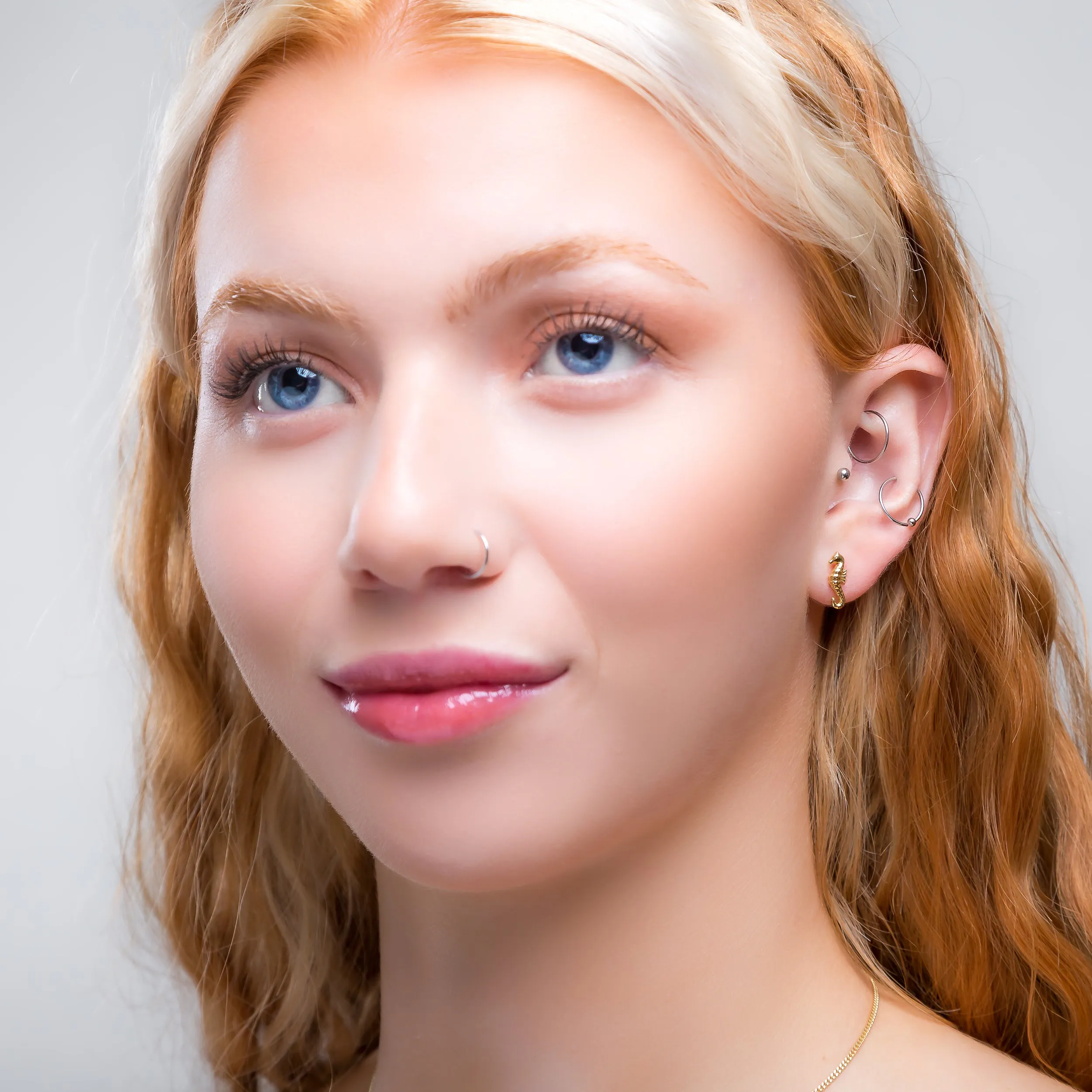 Miniature Seahorse Stud Earrings in Silver with 24ct Gold sold by Henryka product image thumbnail 3