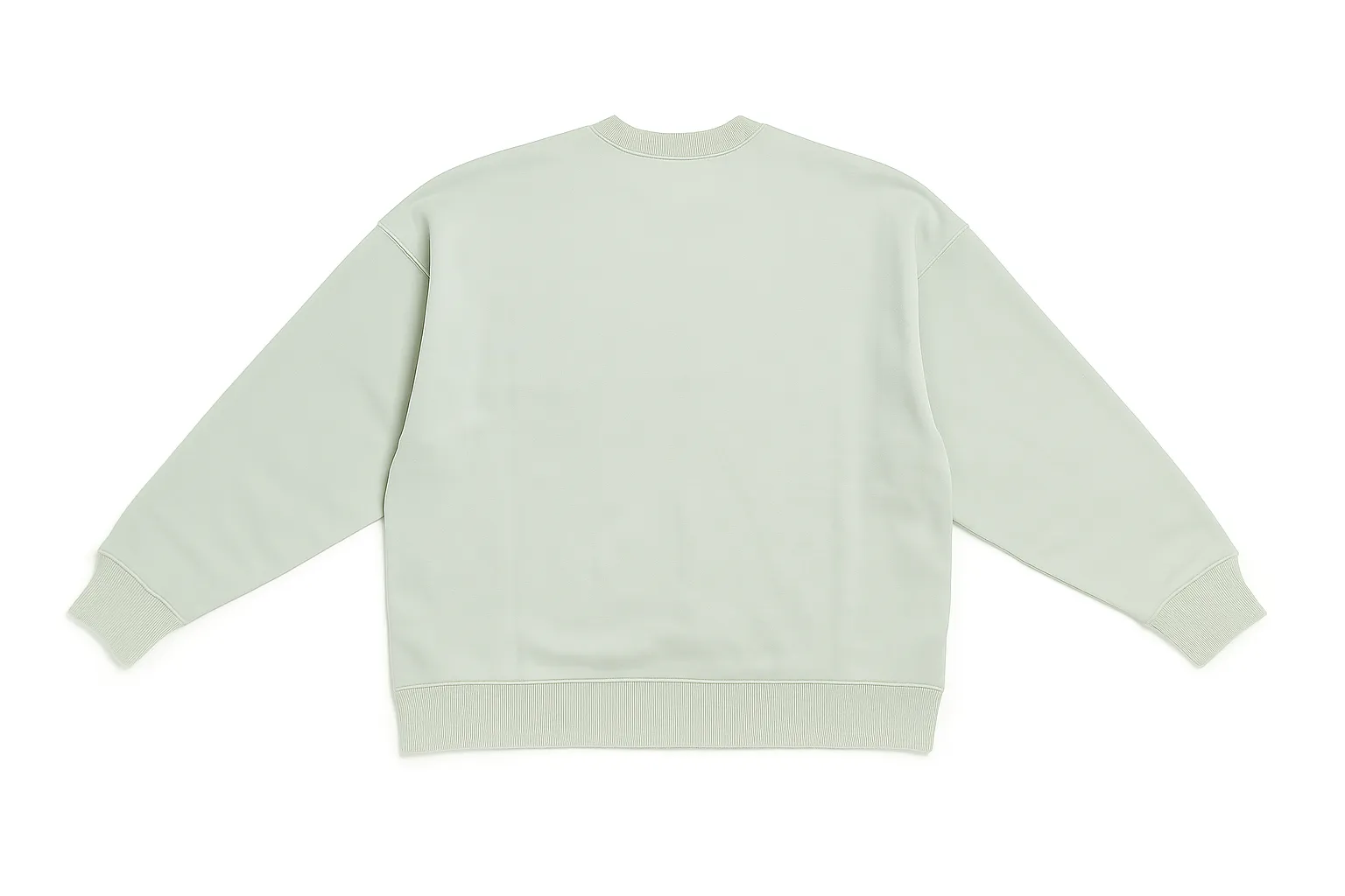 CHAMPION WOMEN'S ROCHESTER CREW SAGE SWEATSHIRT sold by INSPORT product image thumbnail 2
