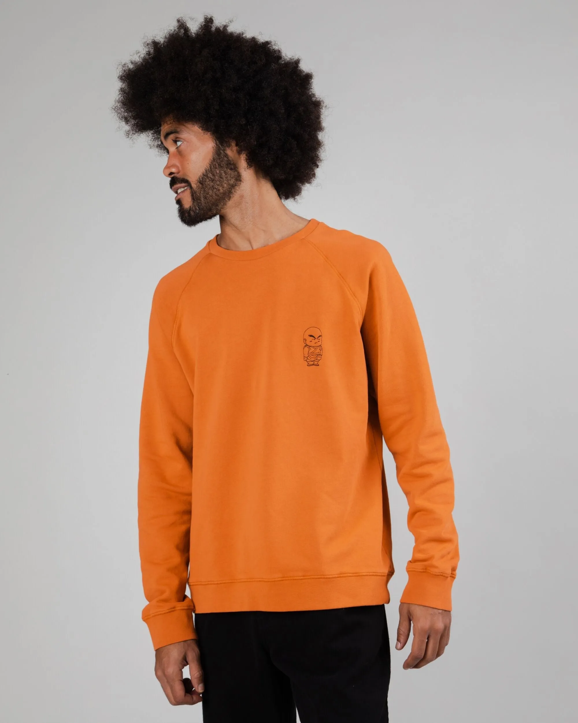 Dragon Ball Krillin Sweatshirt Spices sold by Ivalo.com product image thumbnail 2