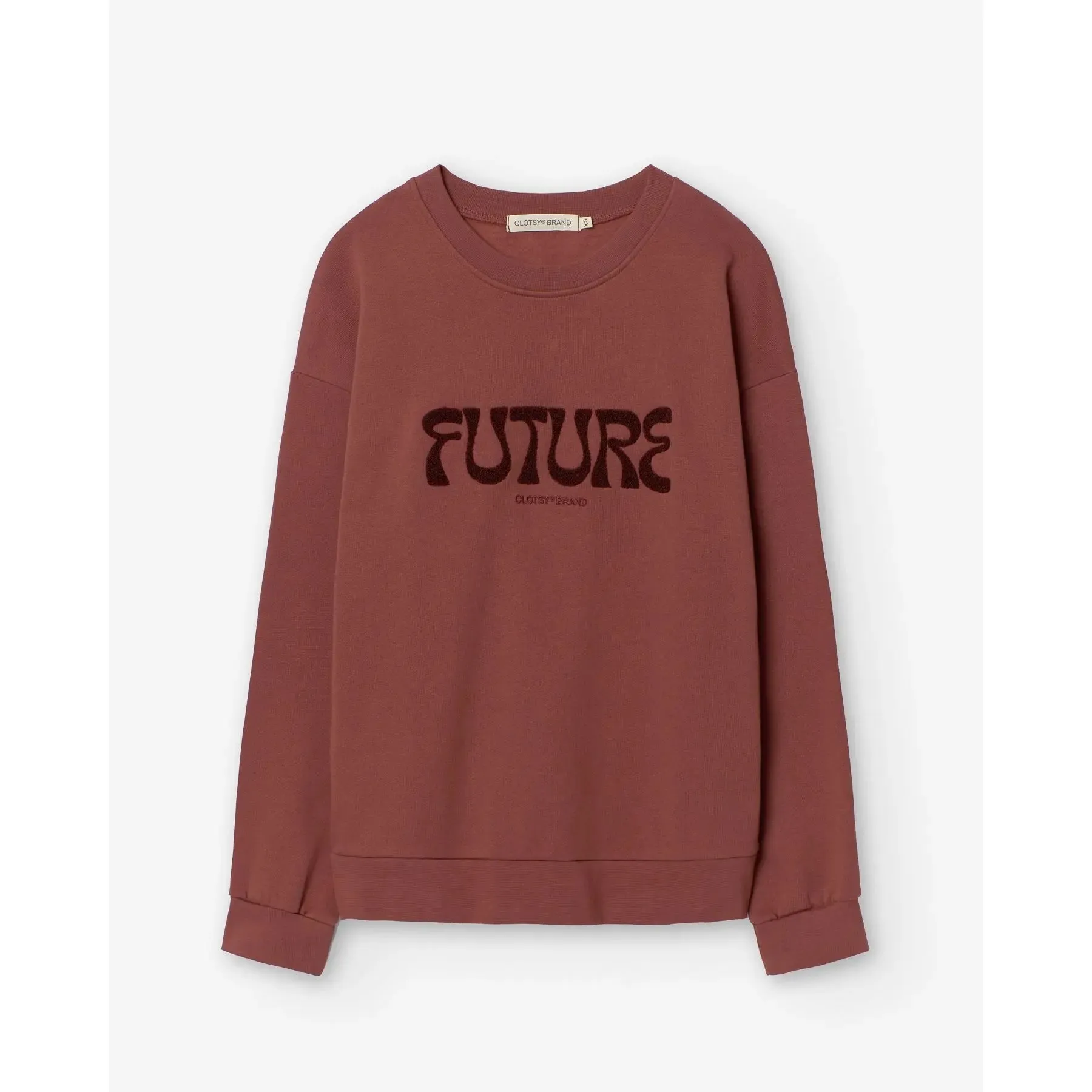 Future Sweatshirt Burgundy sold by Ivalo.com product image thumbnail 2