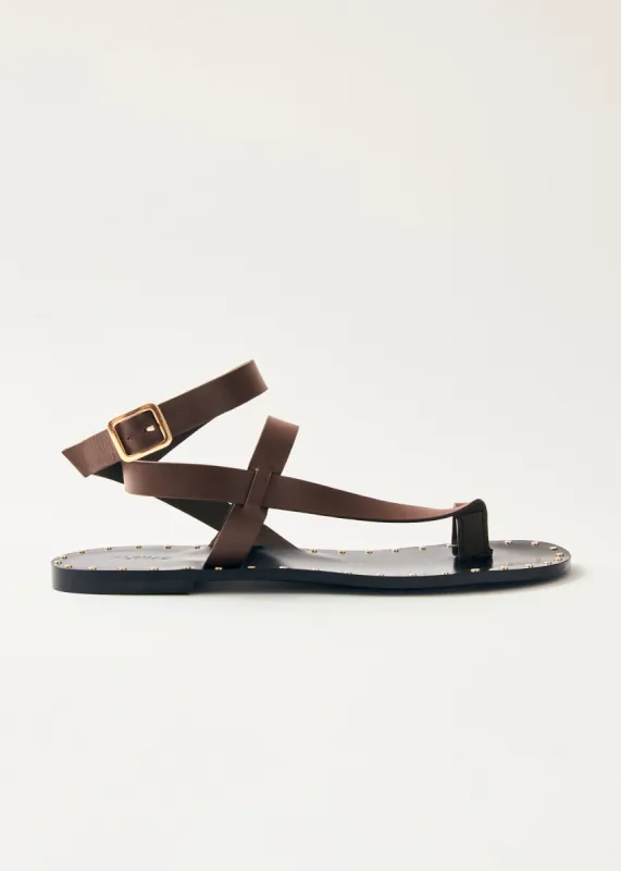 Tallula Leather Sandals Brown sold by Ivalo.com