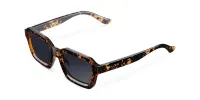 Nayah Sunglasses Tigris Carbon sold by Ivalo.com
