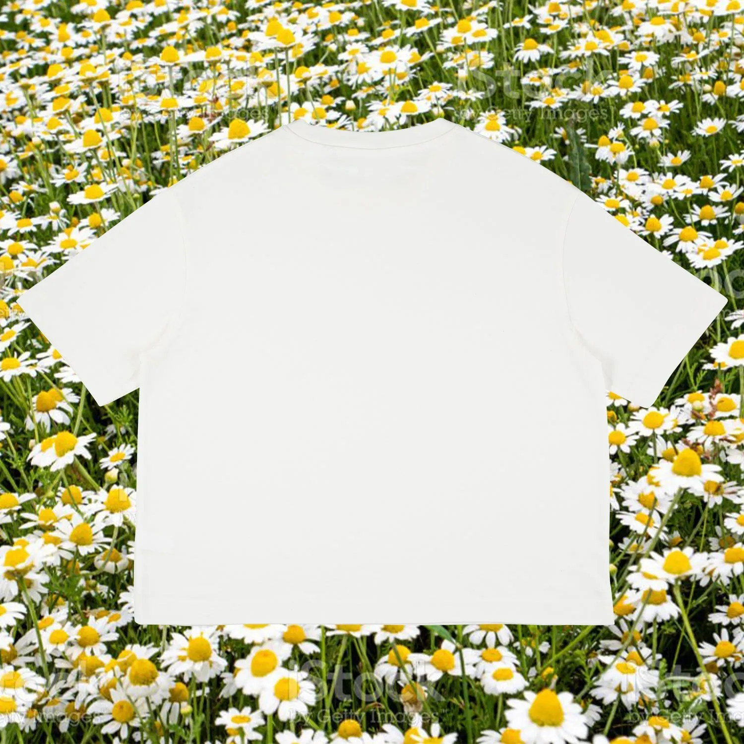 Crop Florero T-Shirt White sold by Ivalo.com product image thumbnail 2
