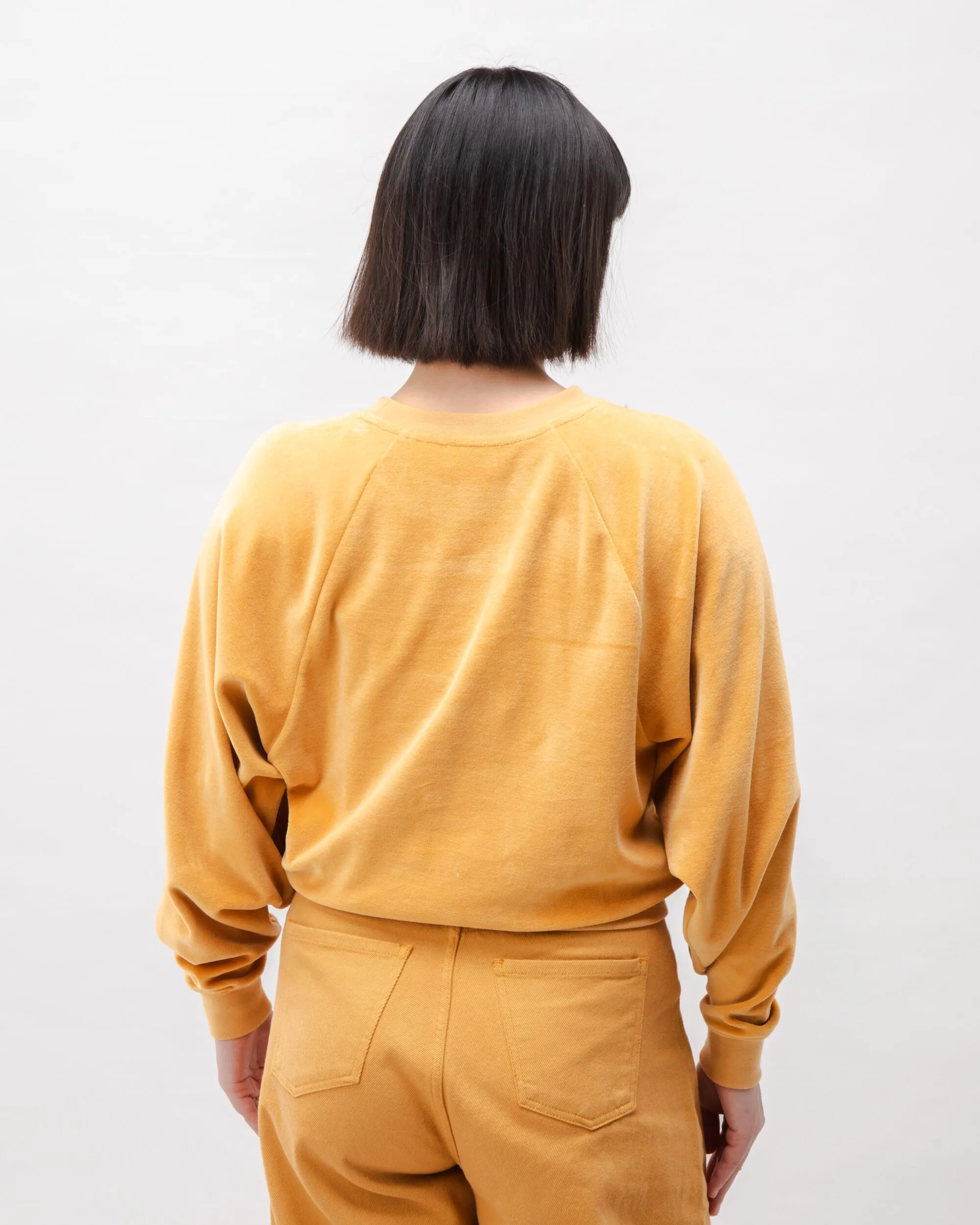Velvet Raglan Cotton Sweatshirt Ochre sold by Ivalo.com product image thumbnail 5