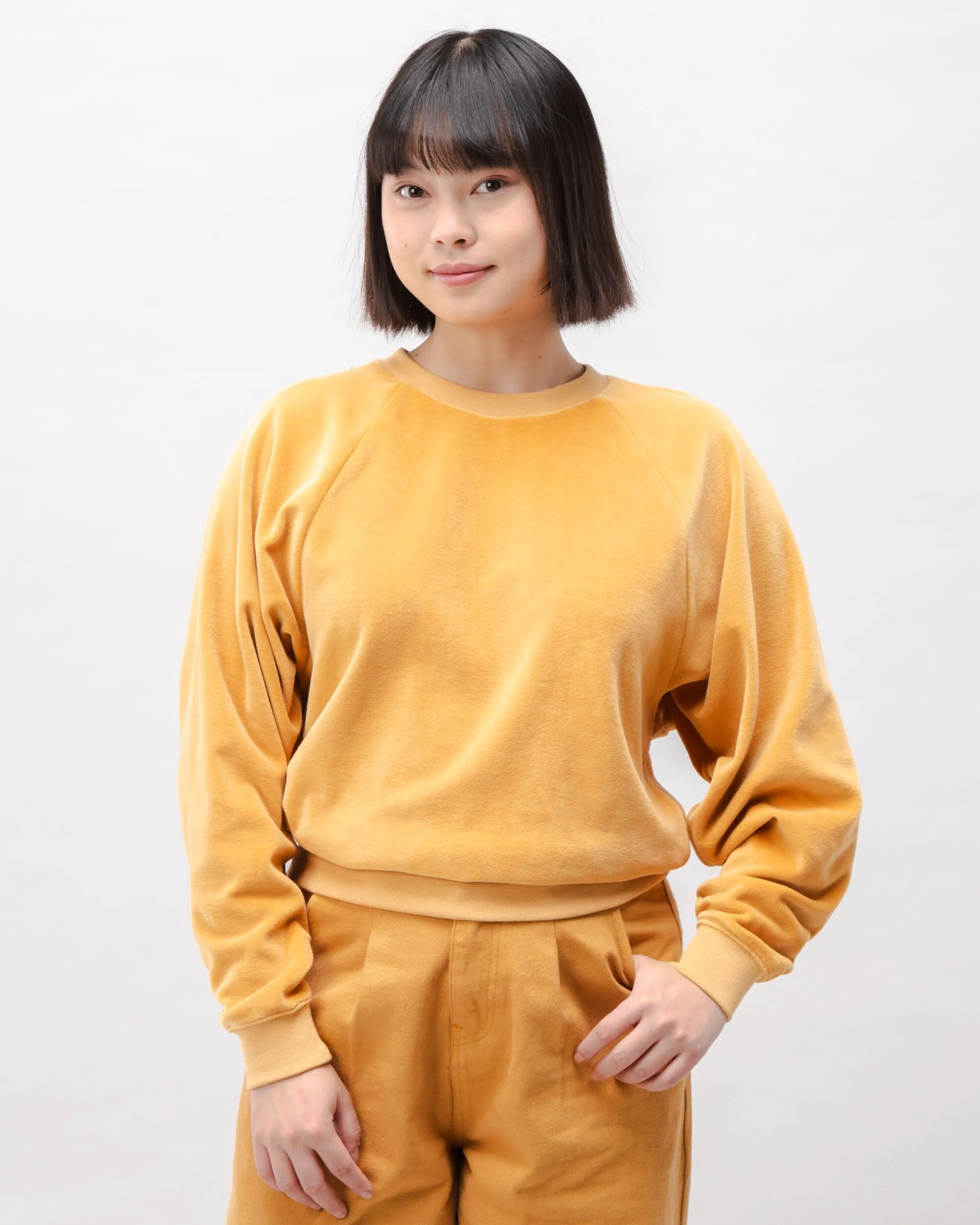 Velvet Raglan Cotton Sweatshirt Ochre sold by Ivalo.com