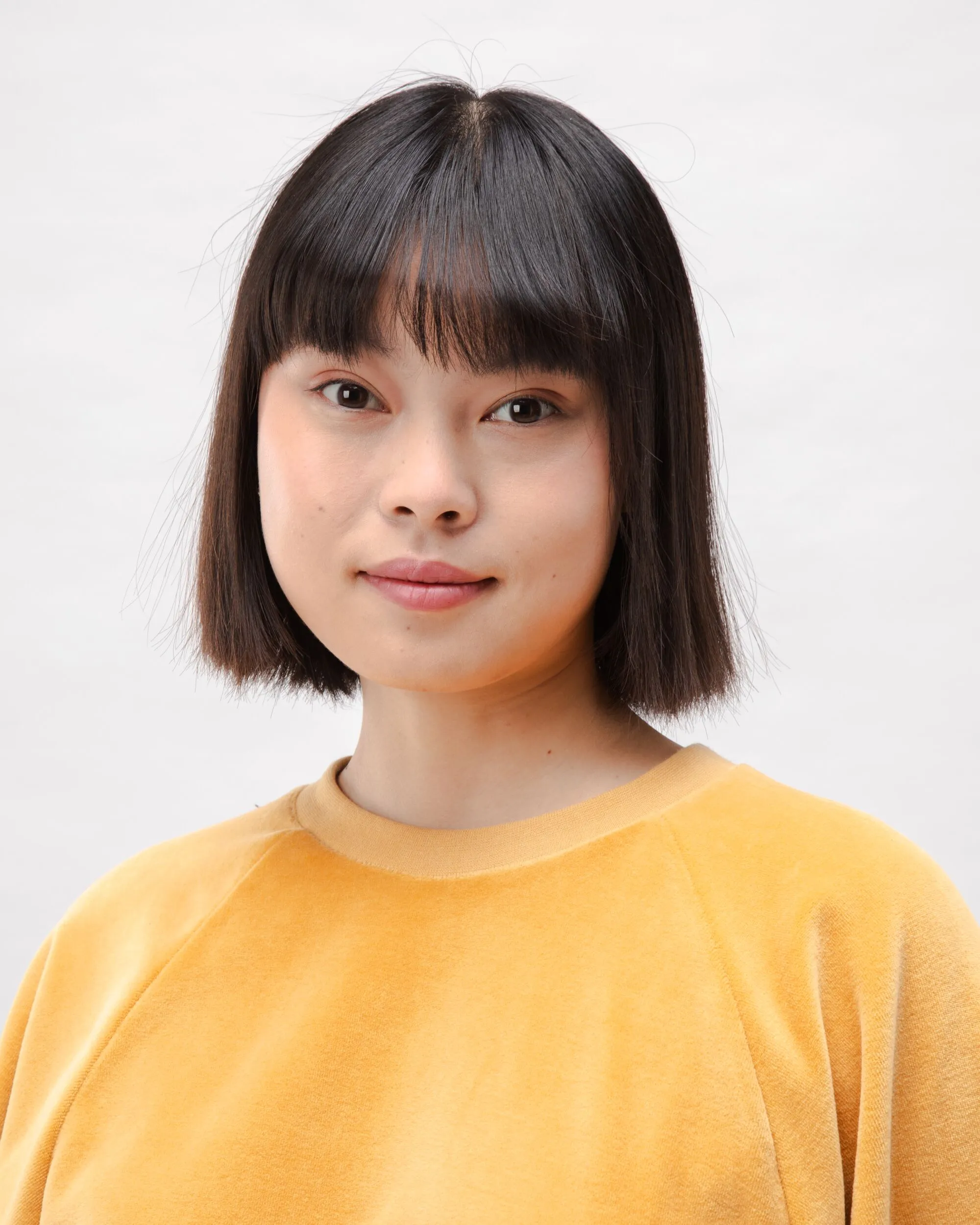 Velvet Raglan Cotton Sweatshirt Ochre sold by Ivalo.com product image thumbnail 4