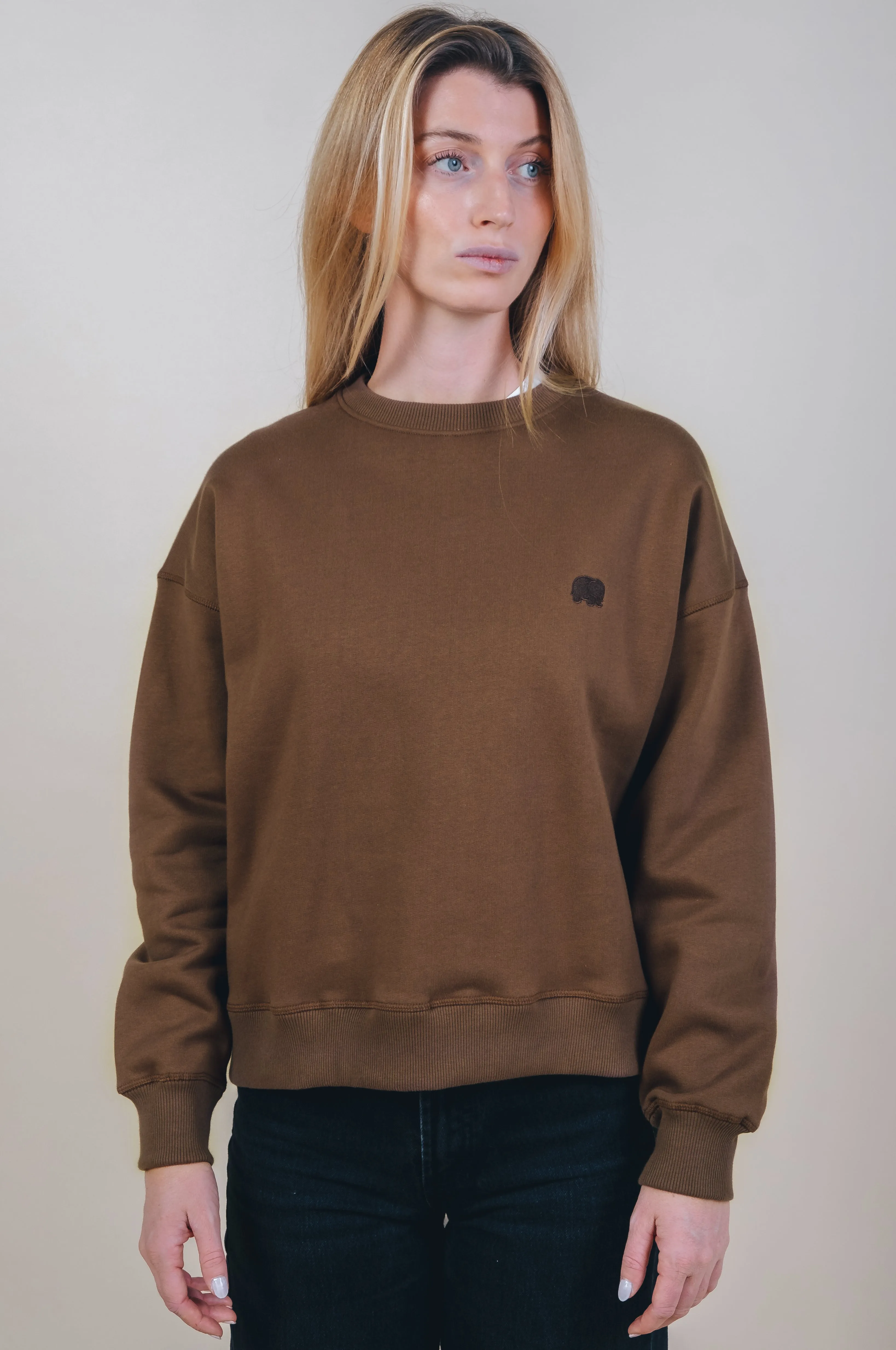 Women's Organic Essential Oversized Sweater Cocoa Brown sold by Ivalo.com product image thumbnail 4