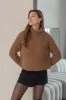 Recycled Wool Turtleneck Sweater Brown sold by Ivalo.com