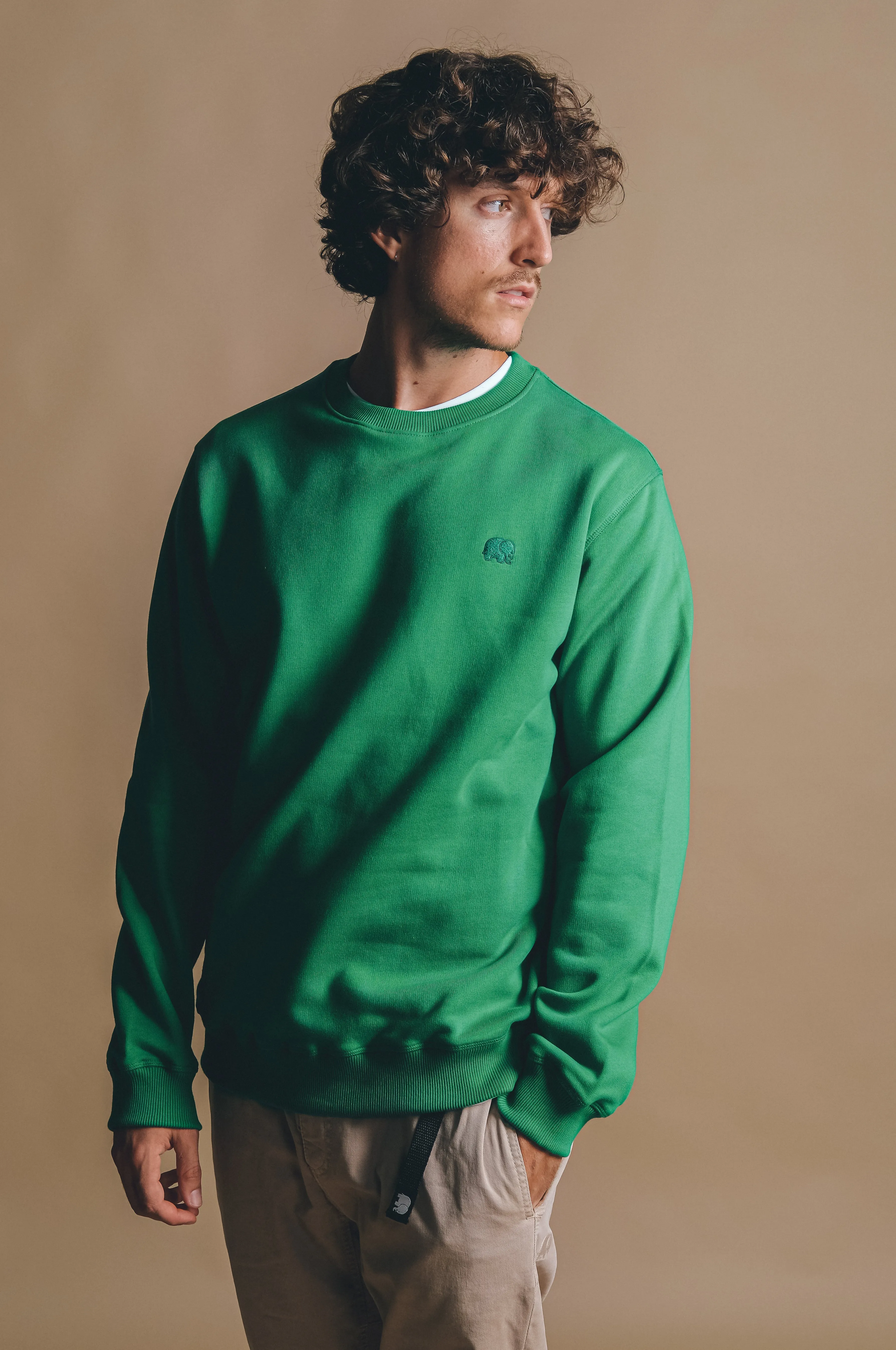 Organic Essential Sweater Bosphorus Green sold by Ivalo.com