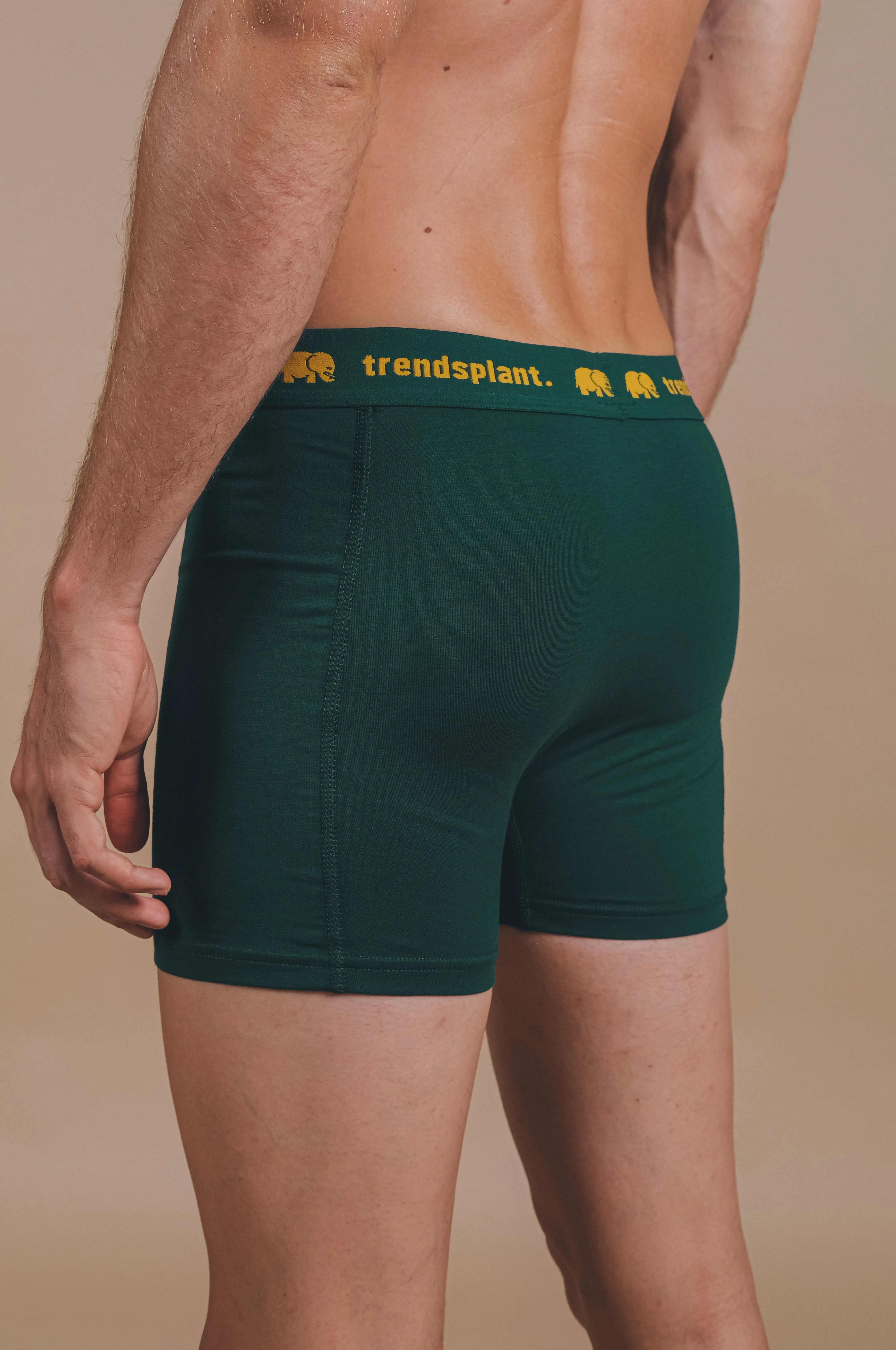 Organic Essential Boxer Briefs Green sold by Ivalo.com product image thumbnail 2