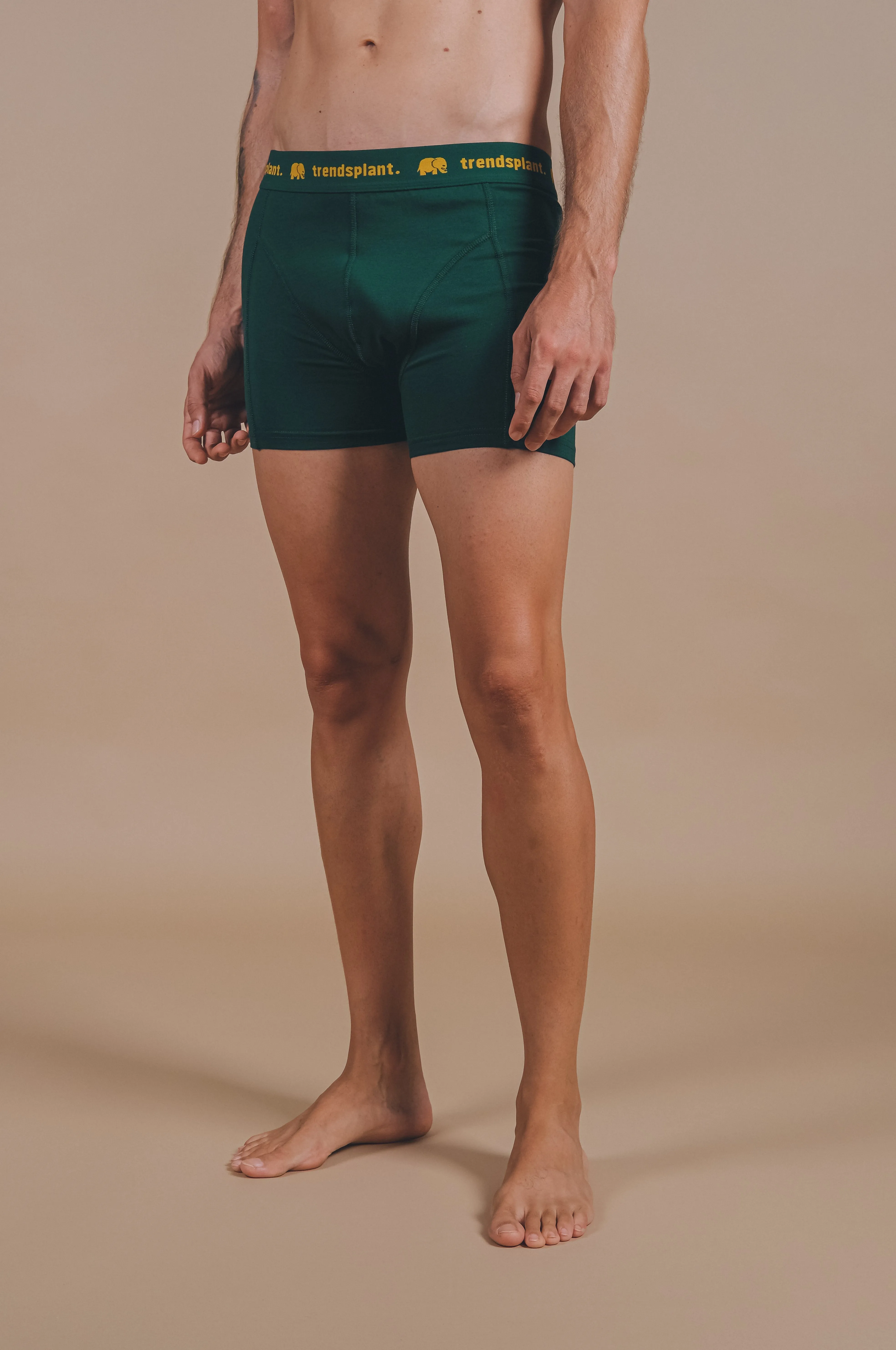 Organic Essential Boxer Briefs Green sold by Ivalo.com product image thumbnail 3