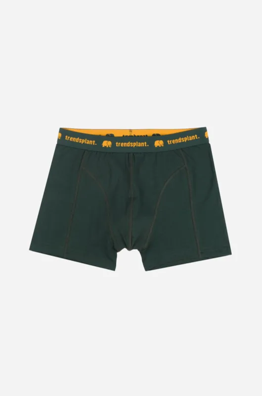 Organic Essential Boxer Briefs Green sold by Ivalo.com