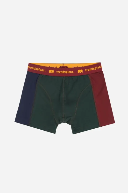 Organic Essential Boxer Briefs Color Block sold by Ivalo.com