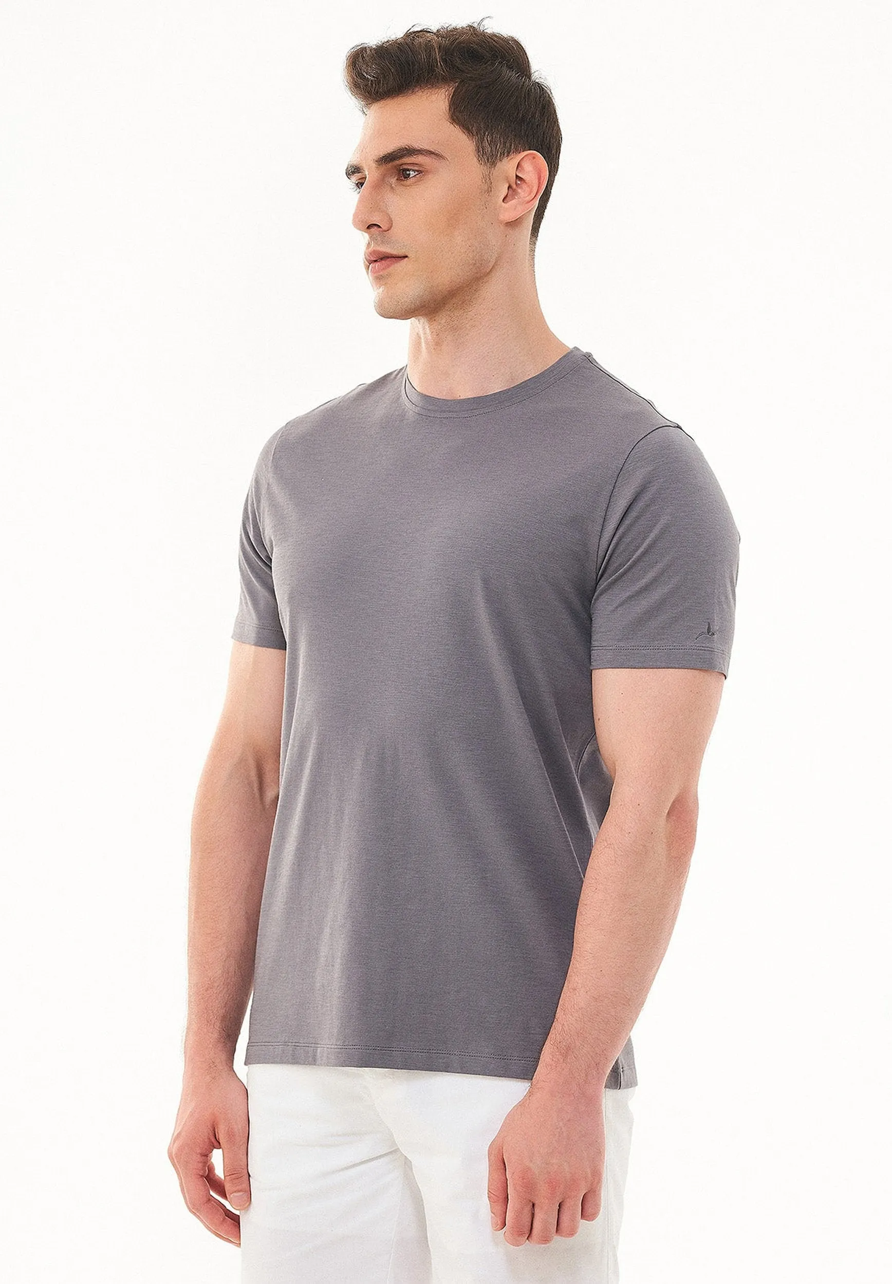 Men's Basic Round Neck T-Shirt Shadow sold by Ivalo.com product image thumbnail 4