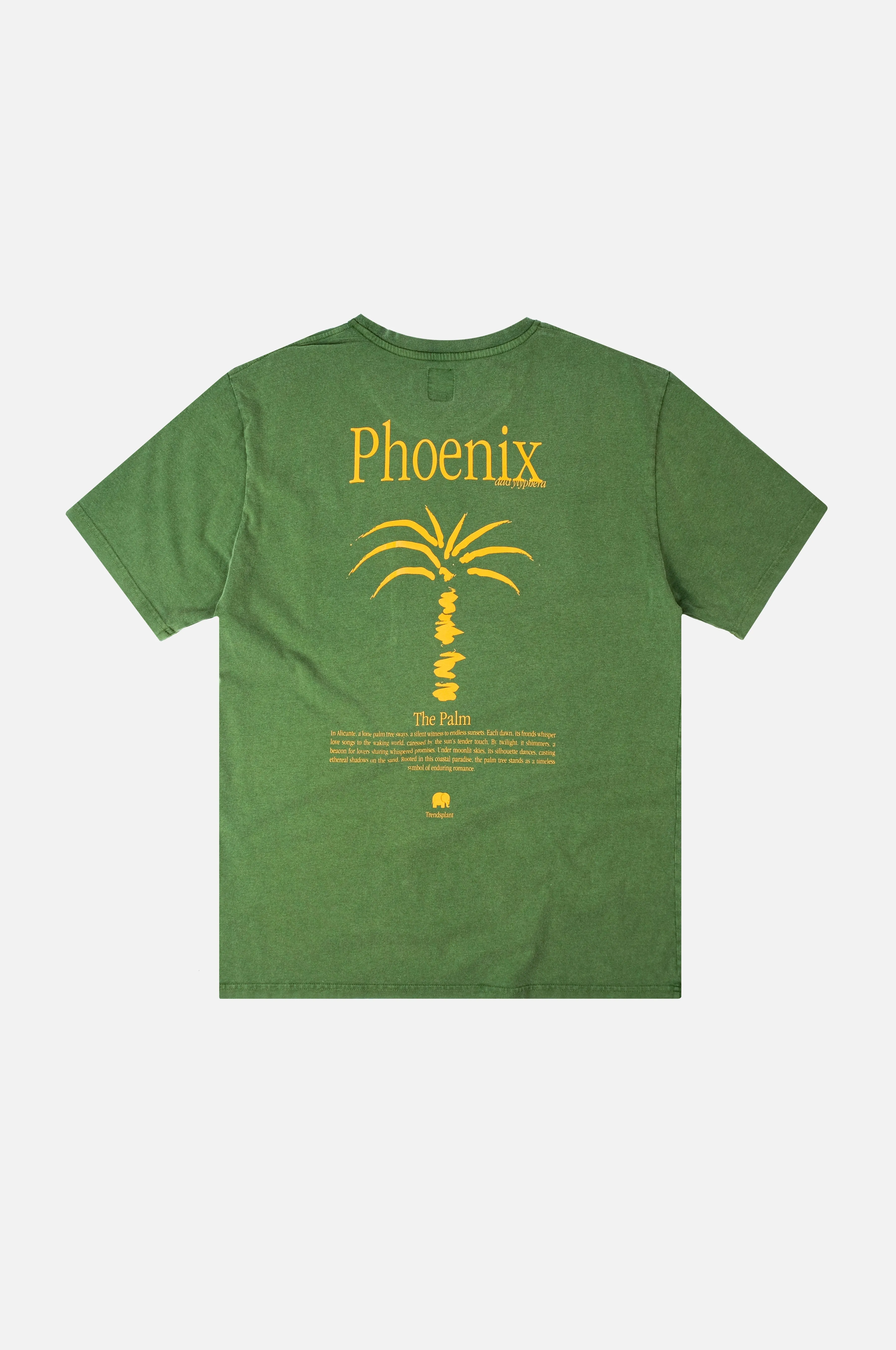 Men's Phoenix Pigment T-Shirt Pinnas Green sold by Ivalo.com product image thumbnail 3