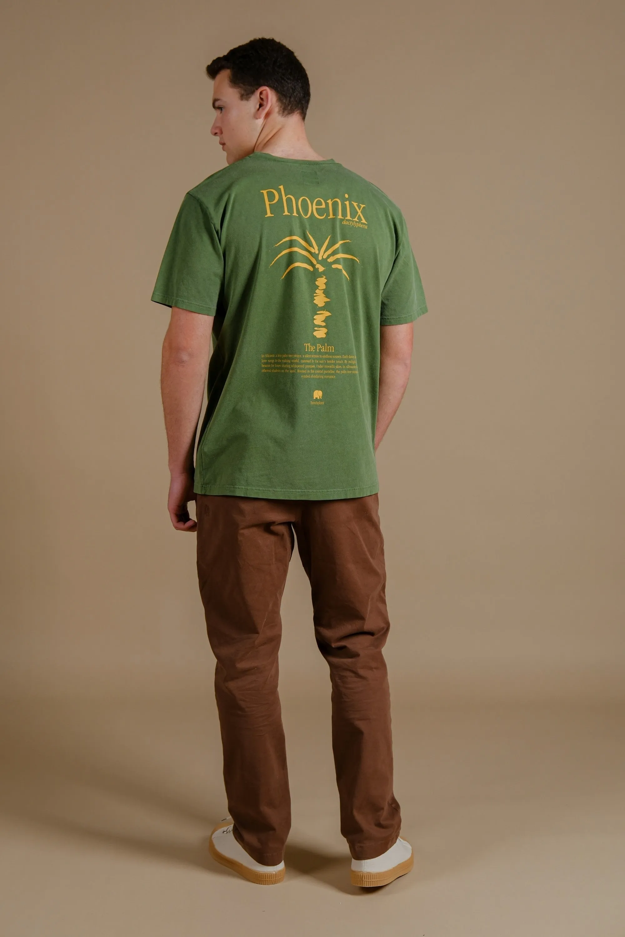 Men's Phoenix Pigment T-Shirt Pinnas Green sold by Ivalo.com product image thumbnail 2