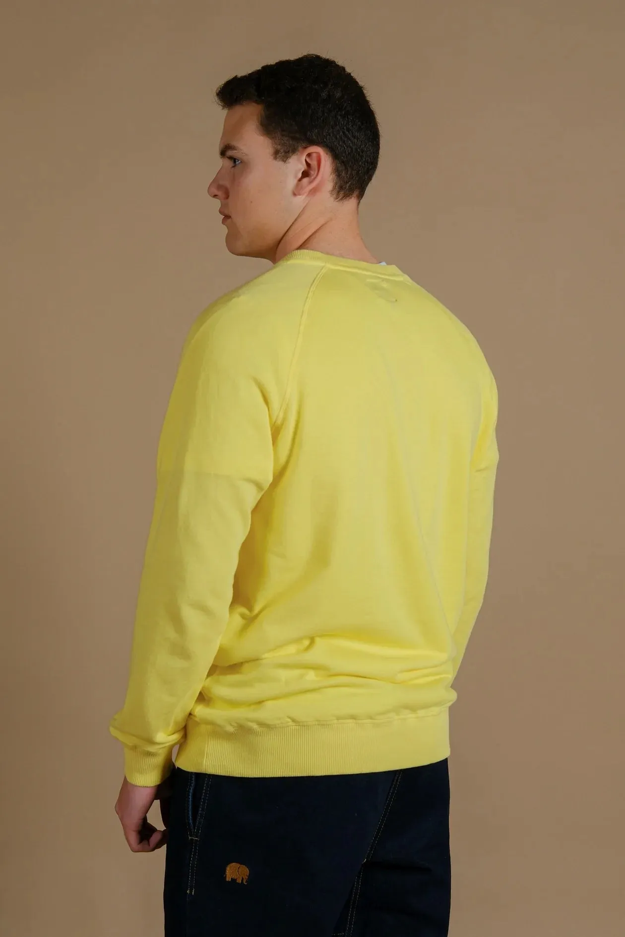 Men's Essential Lightweight Pigment Sweater Date Yellow sold by Ivalo.com product image thumbnail 2