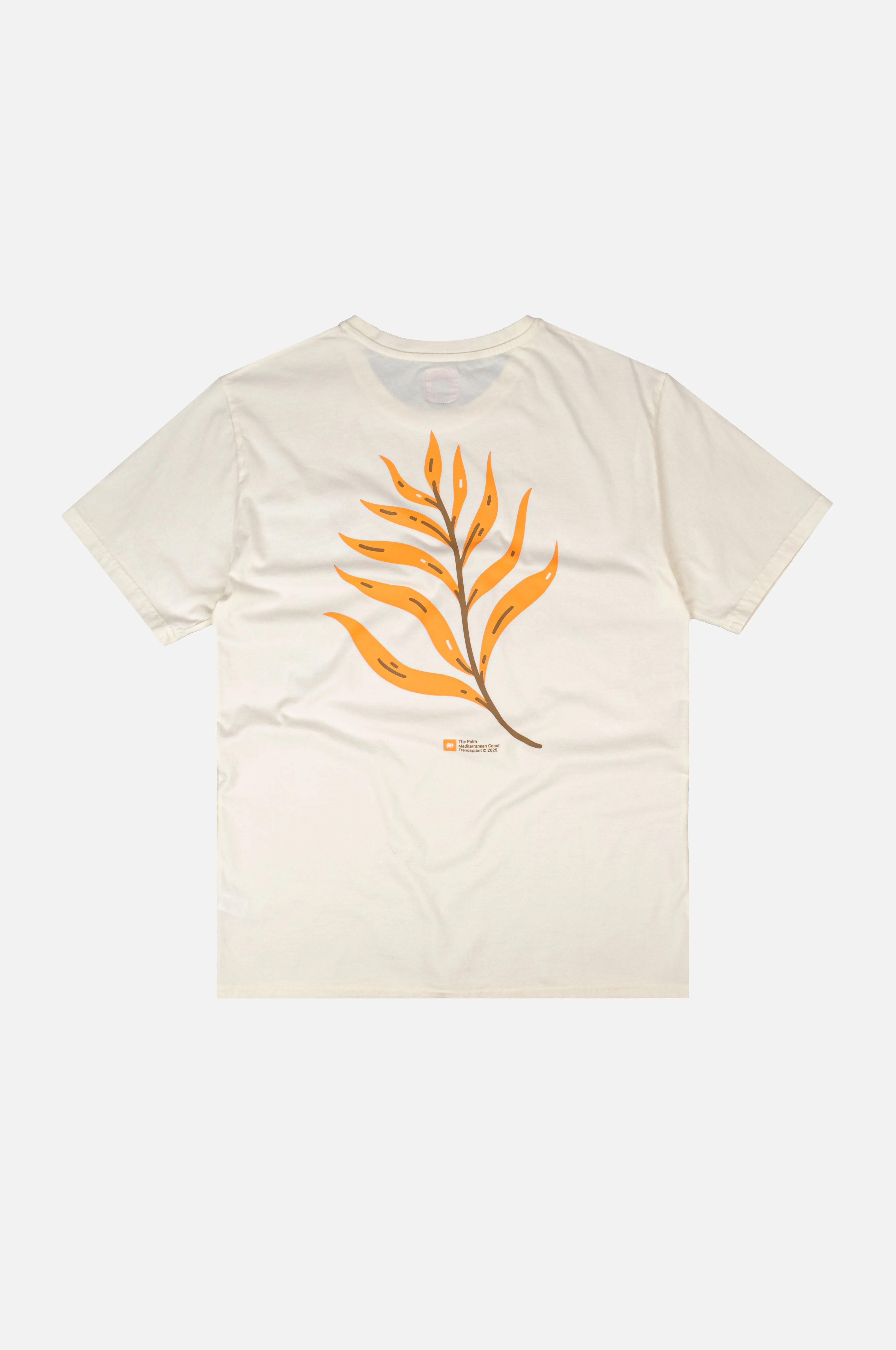 Men's Confitera Pigment T-Shirt Ecru sold by Ivalo.com product image thumbnail 3