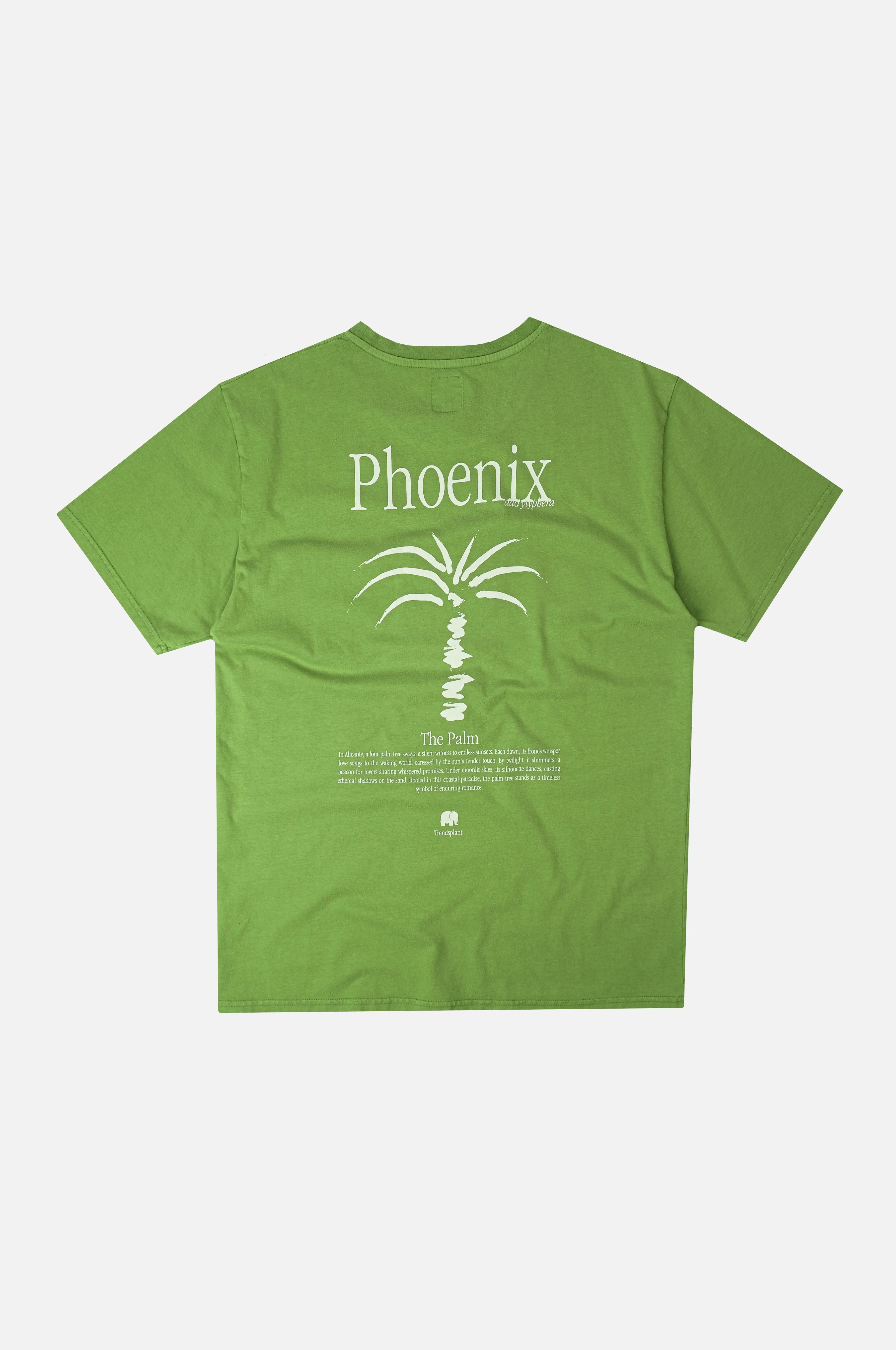 Men's Phoenix Pigment T-Shirt Raquis Green sold by Ivalo.com product image thumbnail 3