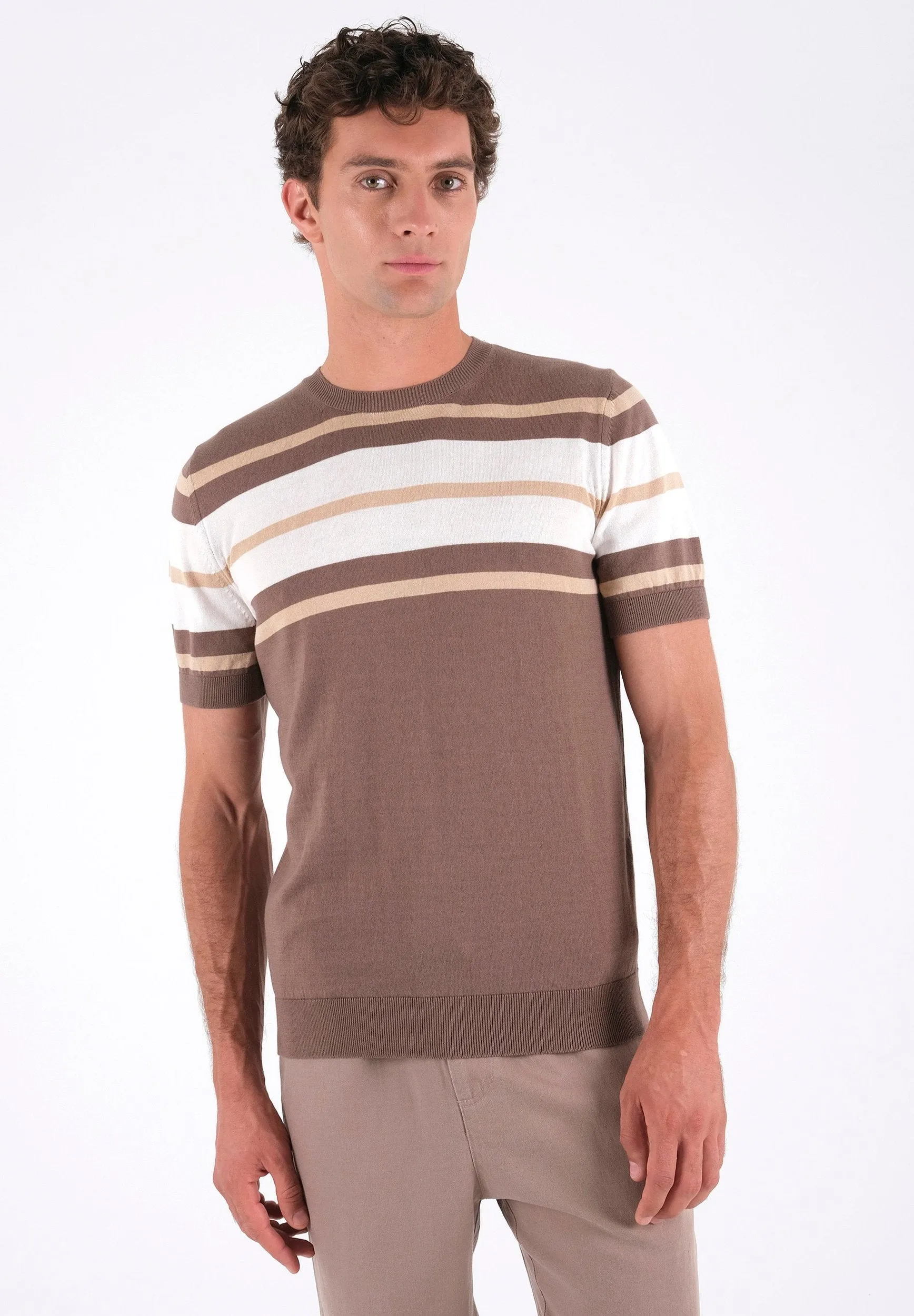 Men's Fine-Knit Organic Cotton T-Shirt Striped Deep Taupe/Beige/Off-White sold by Ivalo.com