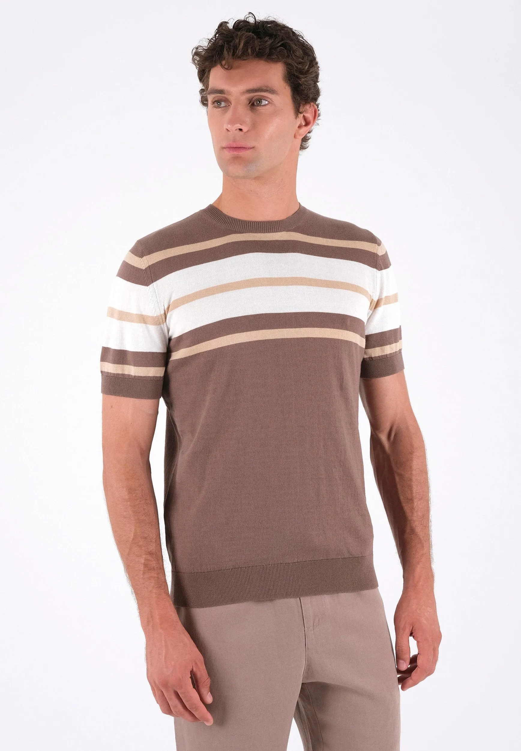 Men's Fine-Knit Organic Cotton T-Shirt Striped Deep Taupe/Beige/Off-White sold by Ivalo.com product image thumbnail 5
