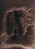 Tb.69 Rife Vegan Sneakers Sheen Brown sold by Ivalo.com