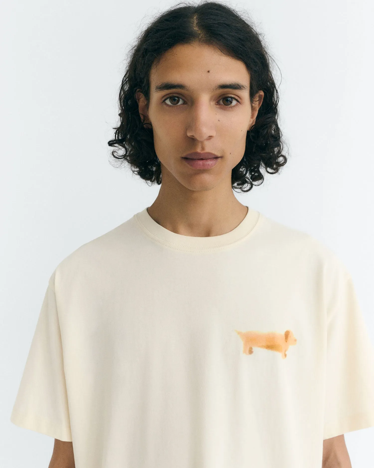 Aaron T-Shirt Perro Salchicha White sold by Ivalo.com product image thumbnail 2