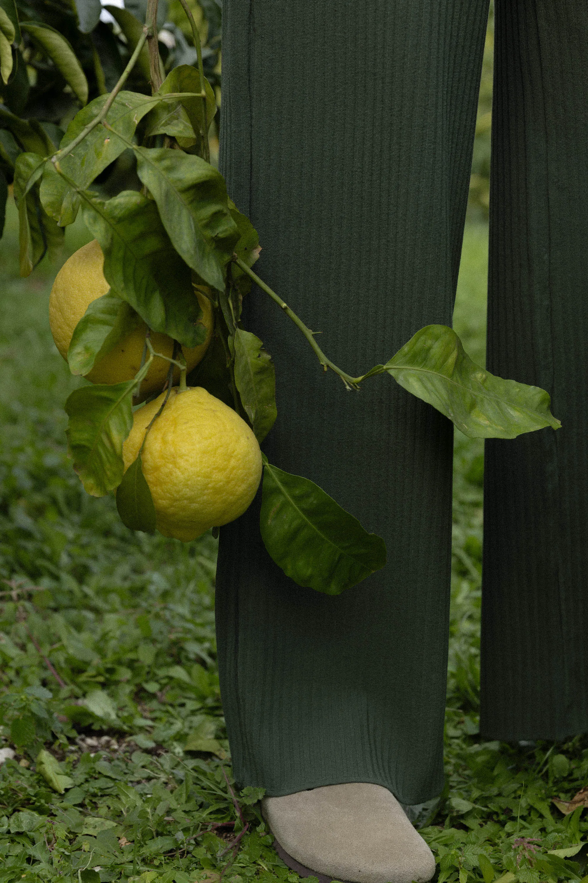Vera Ribbed Pants Khaki sold by Ivalo.com product image thumbnail 4