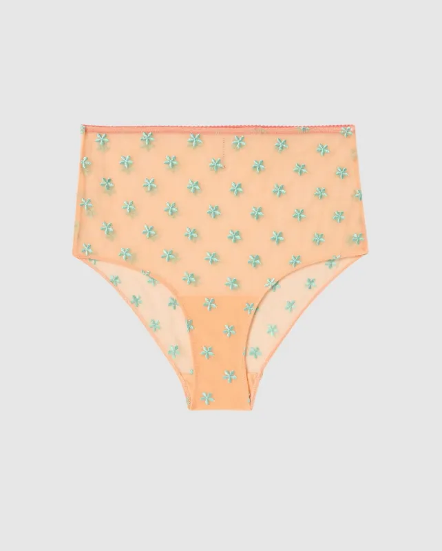 Mesh Highwaist Briefs Peach/Turquoise sold by Ivalo.com