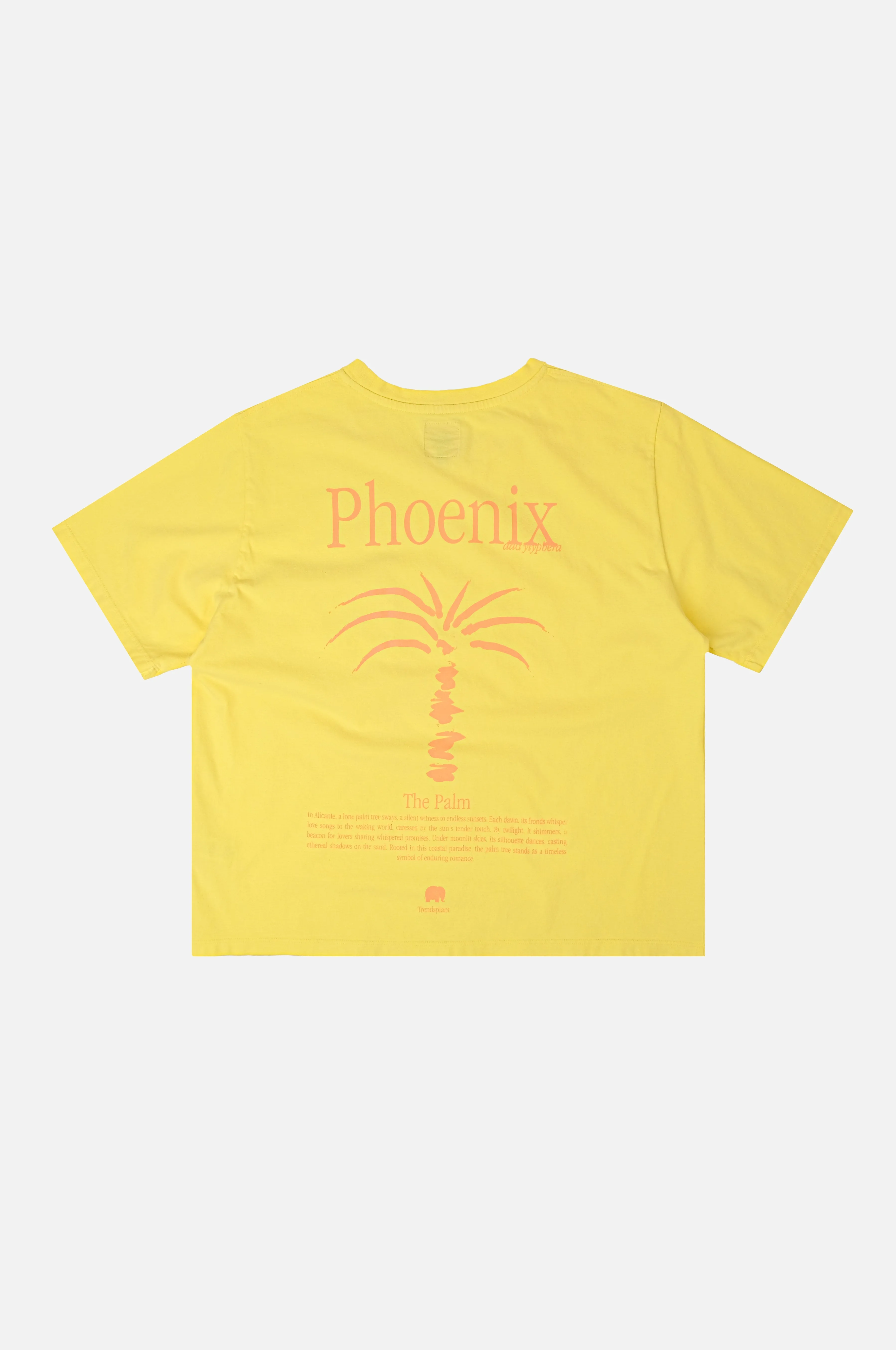Women's Pigment T-Shirt Phoenix Date Yellow sold by Ivalo.com product image thumbnail 4