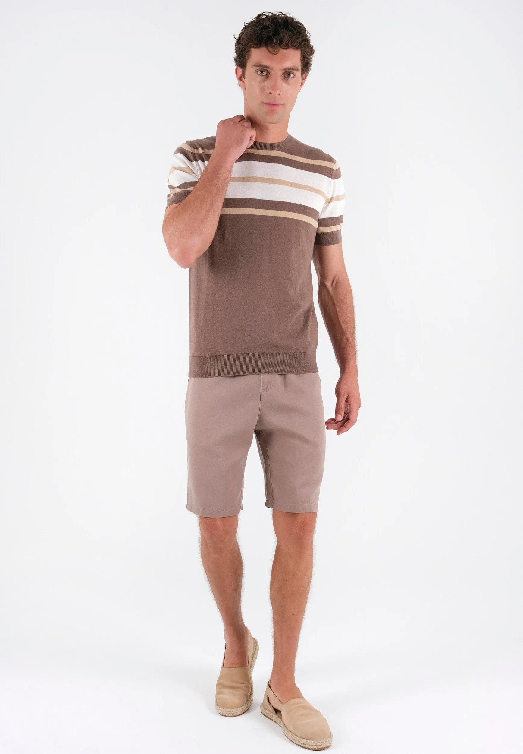 Men's Fine-Knit Organic Cotton T-Shirt Striped Deep Taupe/Beige/Off-White sold by Ivalo.com product image thumbnail 3
