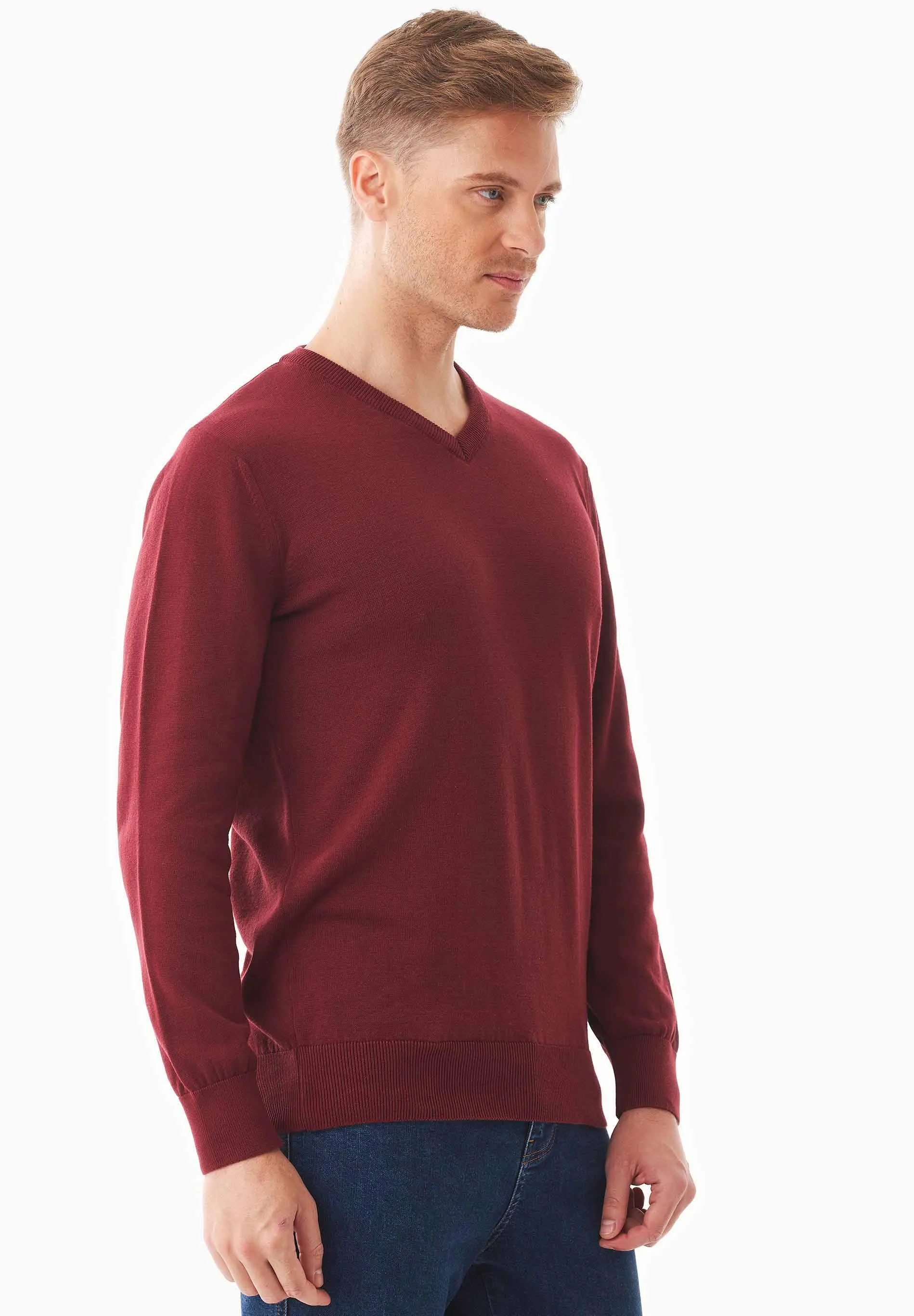 Men's V-Neck Organic Cotton Sweater Syrah Red sold by Ivalo.com product image thumbnail 4