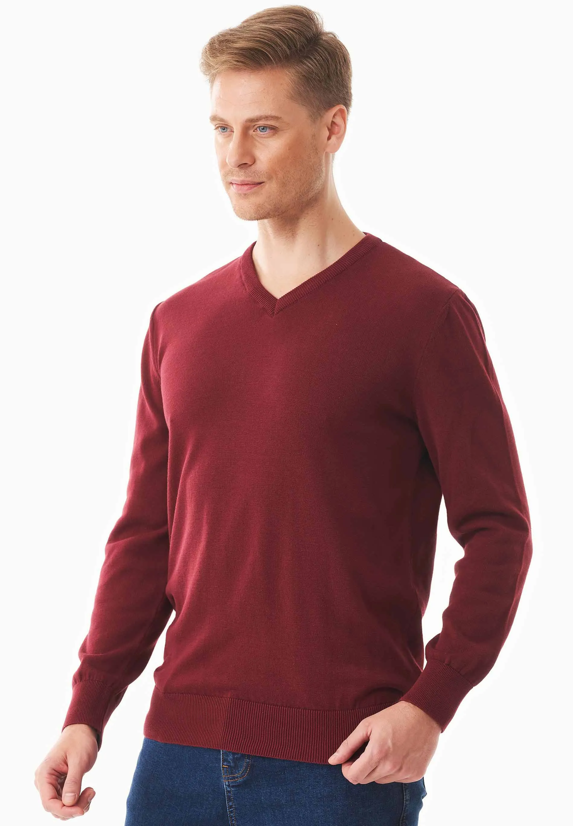 Men's V-Neck Organic Cotton Sweater Syrah Red sold by Ivalo.com product image thumbnail 5