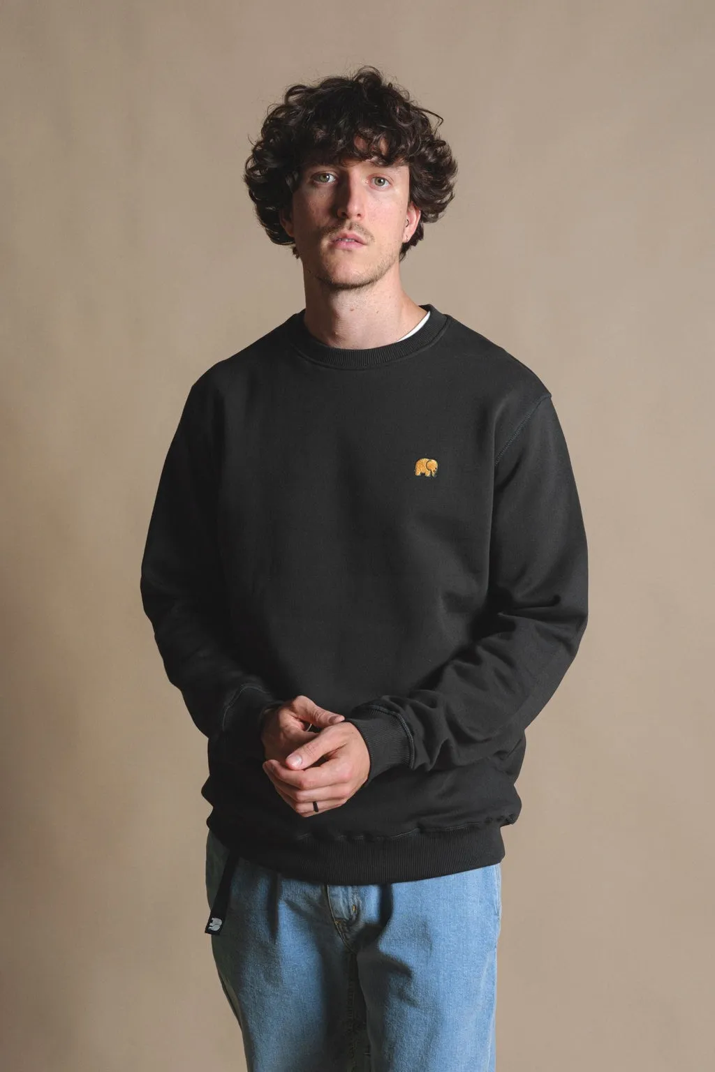 Organic Essential Sweater Scarab Green sold by Ivalo.com product image thumbnail 4