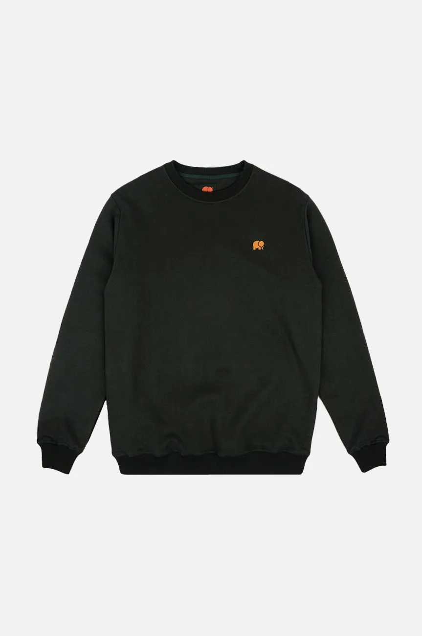 Organic Essential Sweater Scarab Green sold by Ivalo.com