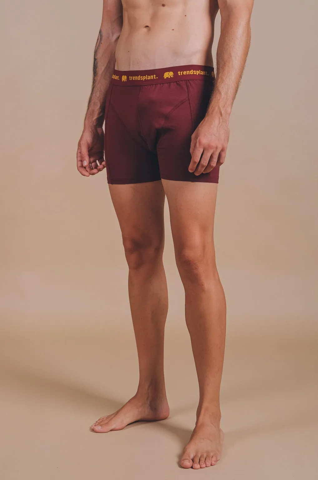 Organic Essential Boxer Briefs Burgundy sold by Ivalo.com product image thumbnail 4