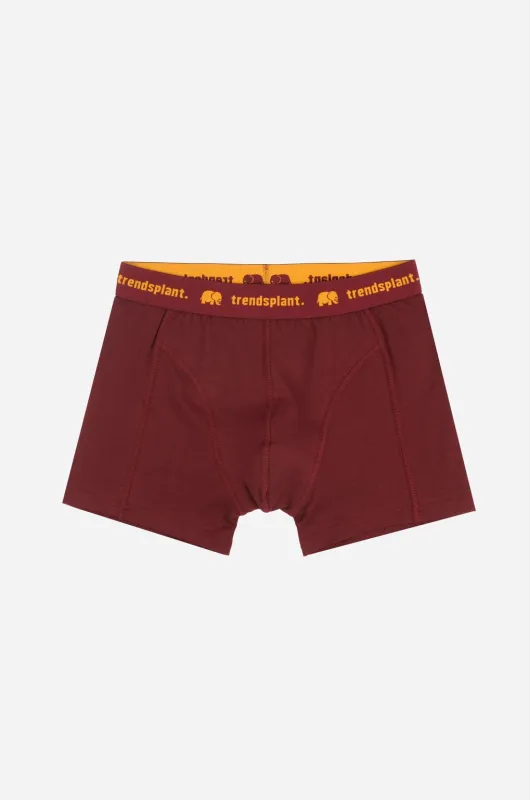 Organic Essential Boxer Briefs Burgundy sold by Ivalo.com