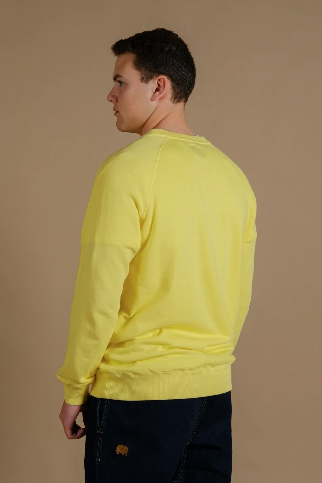 Essential Lightweight Pigment Sweater Date Yellow sold by Ivalo.com product image thumbnail 4