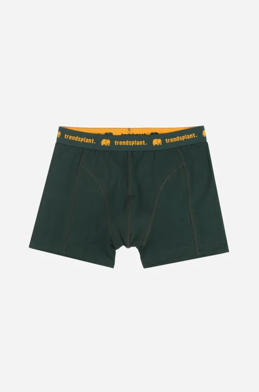 Organic Essential Boxer Briefs Green made by Ivalo.com