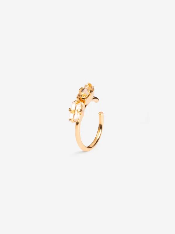 Denis Earcuff Champagne made by Ivalo.com