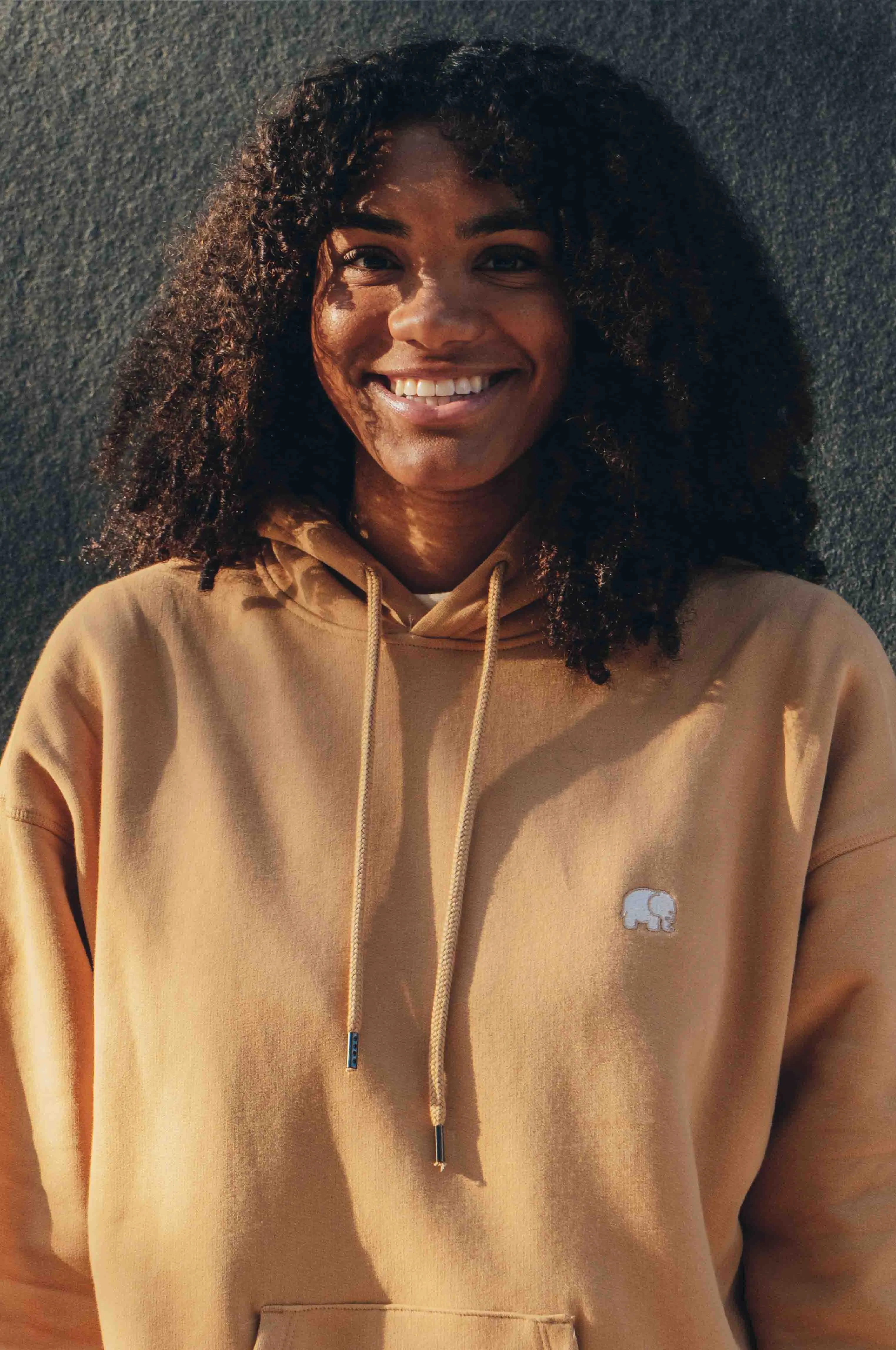 Women's Trendsplant Organic Essential Oversized Hoodie Apple Cinnamon sold by Ivalo.com product image thumbnail 2