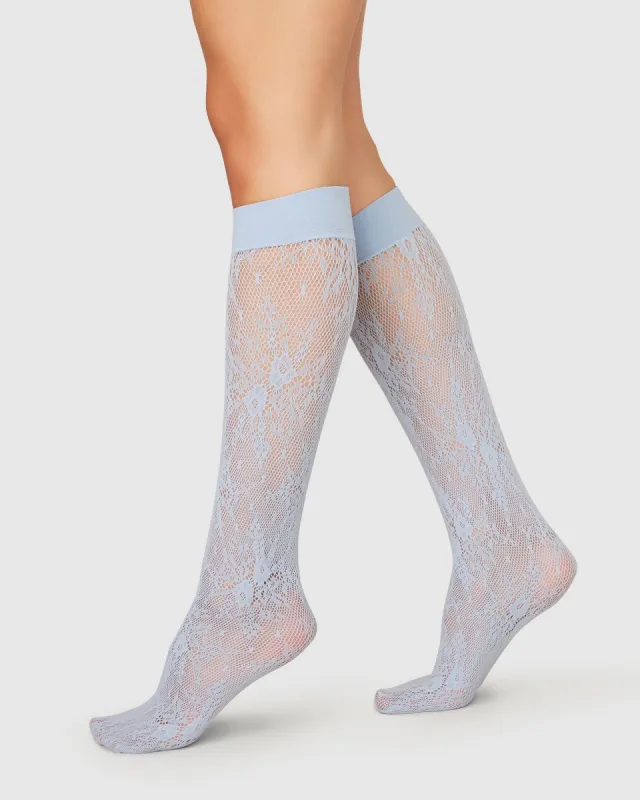 Rosa Lace Knee-Highs Light Blue sold by Ivalo.com