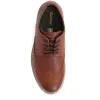 Barbour Leather Brogues - BARBR38506 / 324 446 sold by Jones Bootmaker