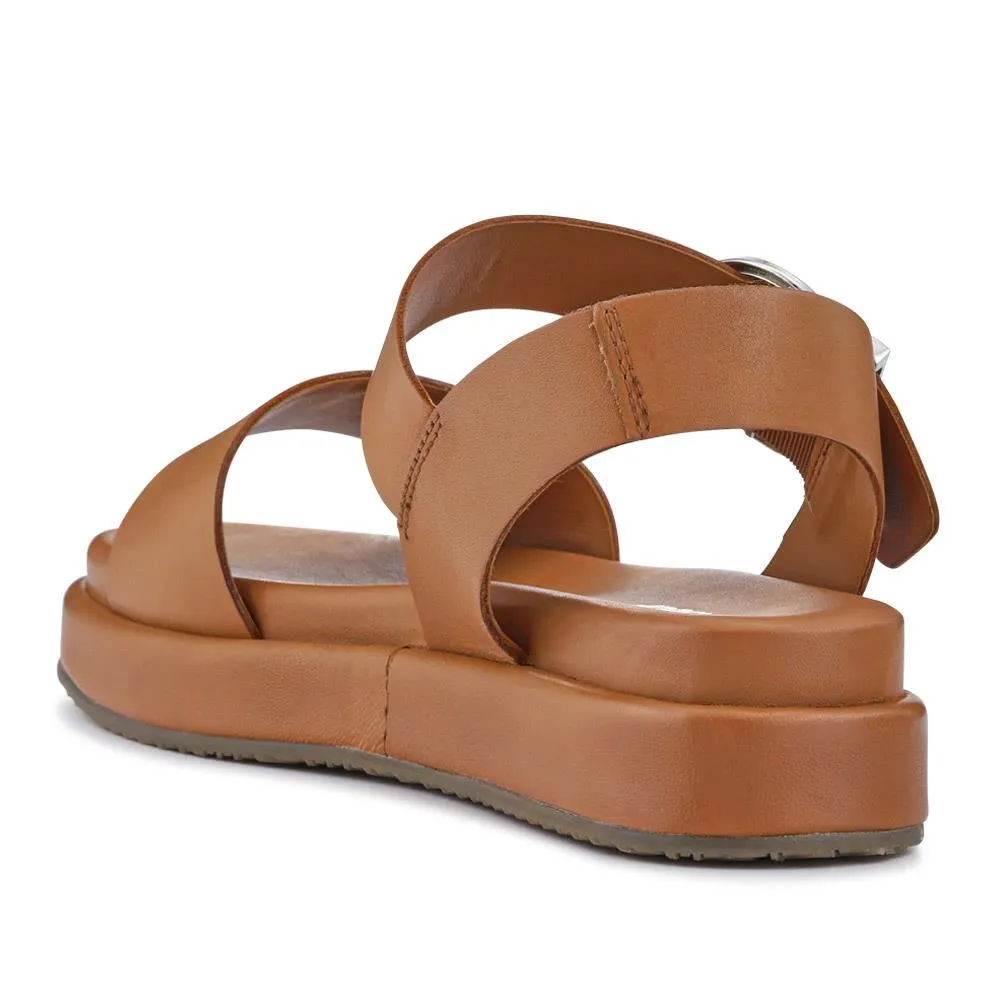 Big-Buckled Leather Sandals - BARBR41509 / 326 765 sold by Jones Bootmaker product image thumbnail 4